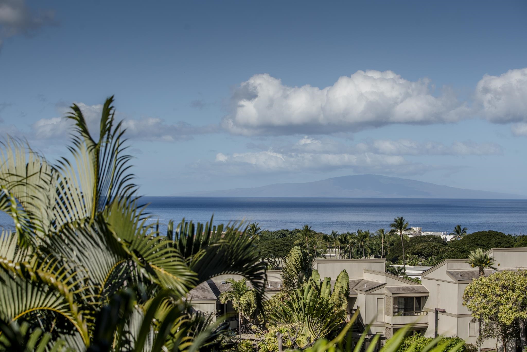 10 Wailea Ekolu Pl Unit: 404