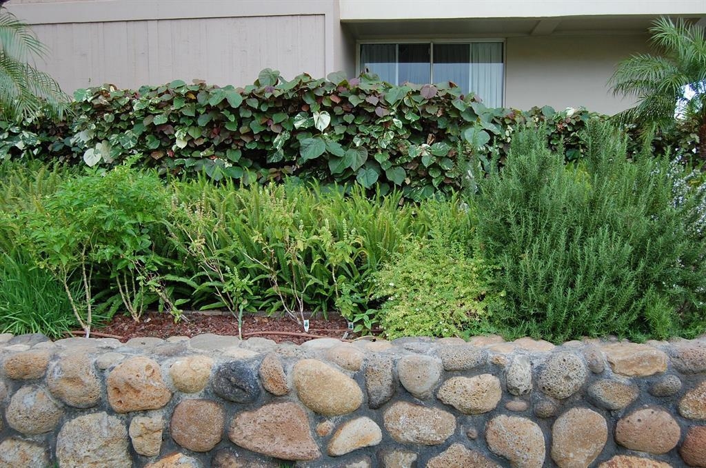 2481 Kaanapali Pkwy Unit: 610 Z