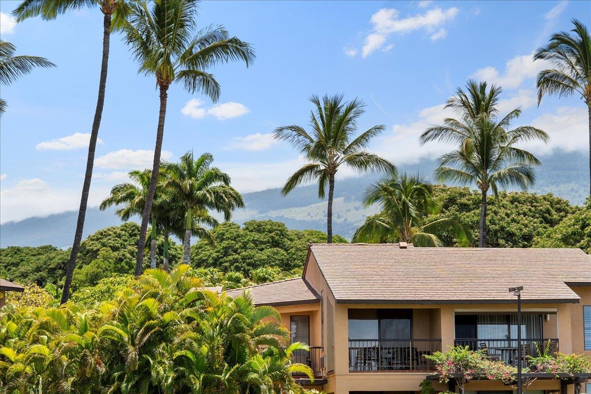3300 Wailea Alanui Dr Unit: 3D