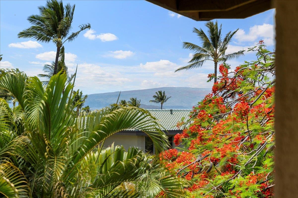 3300 Wailea Alanui Dr Unit: 3D
