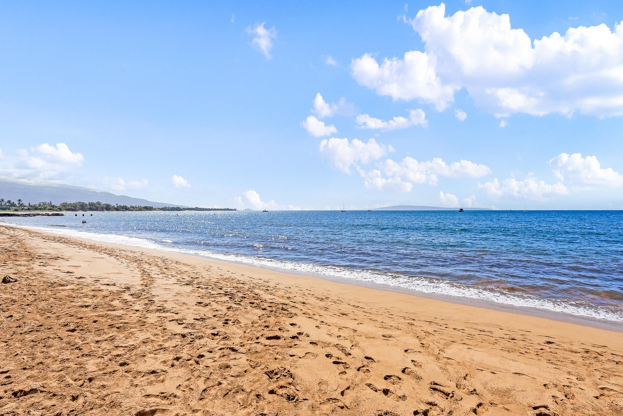 480 Kenolio Rd Unit: 28-105