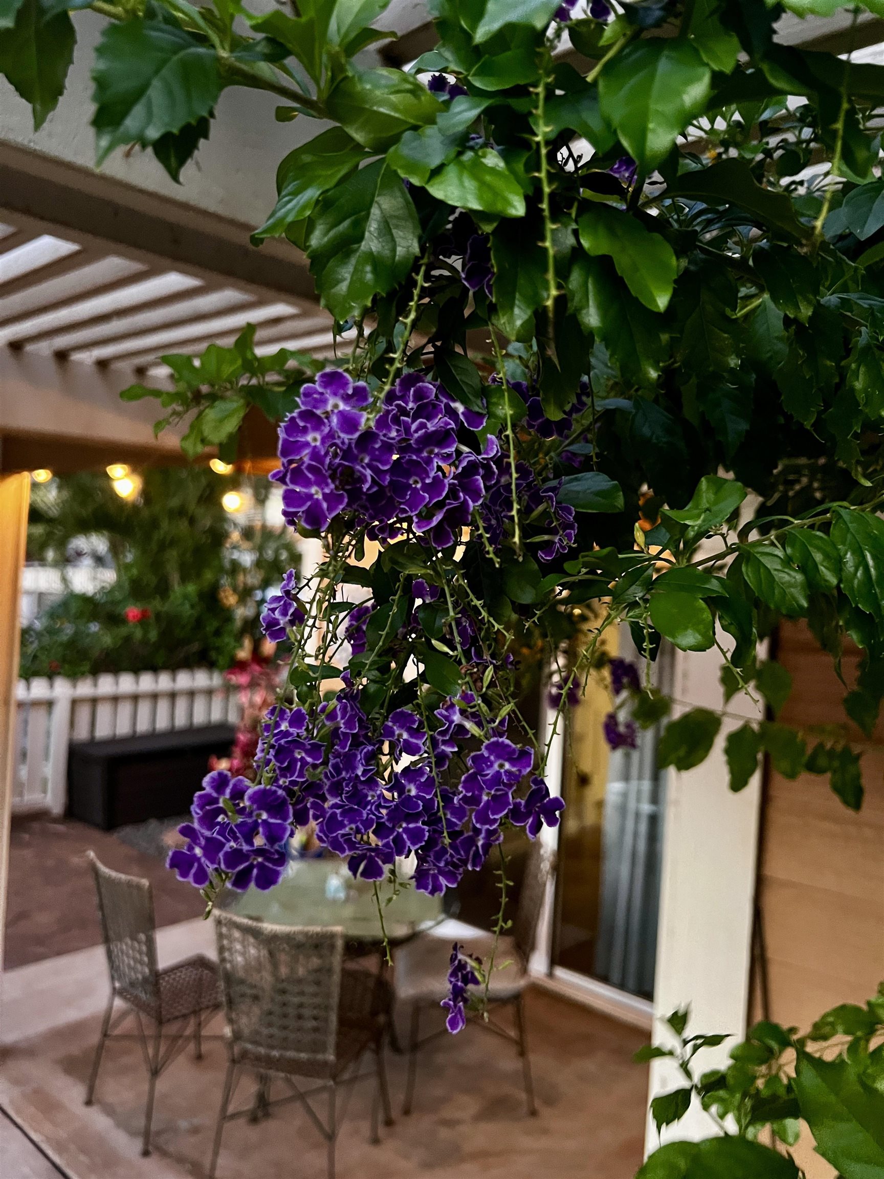 140 UWAPO Rd Unit: 9-103