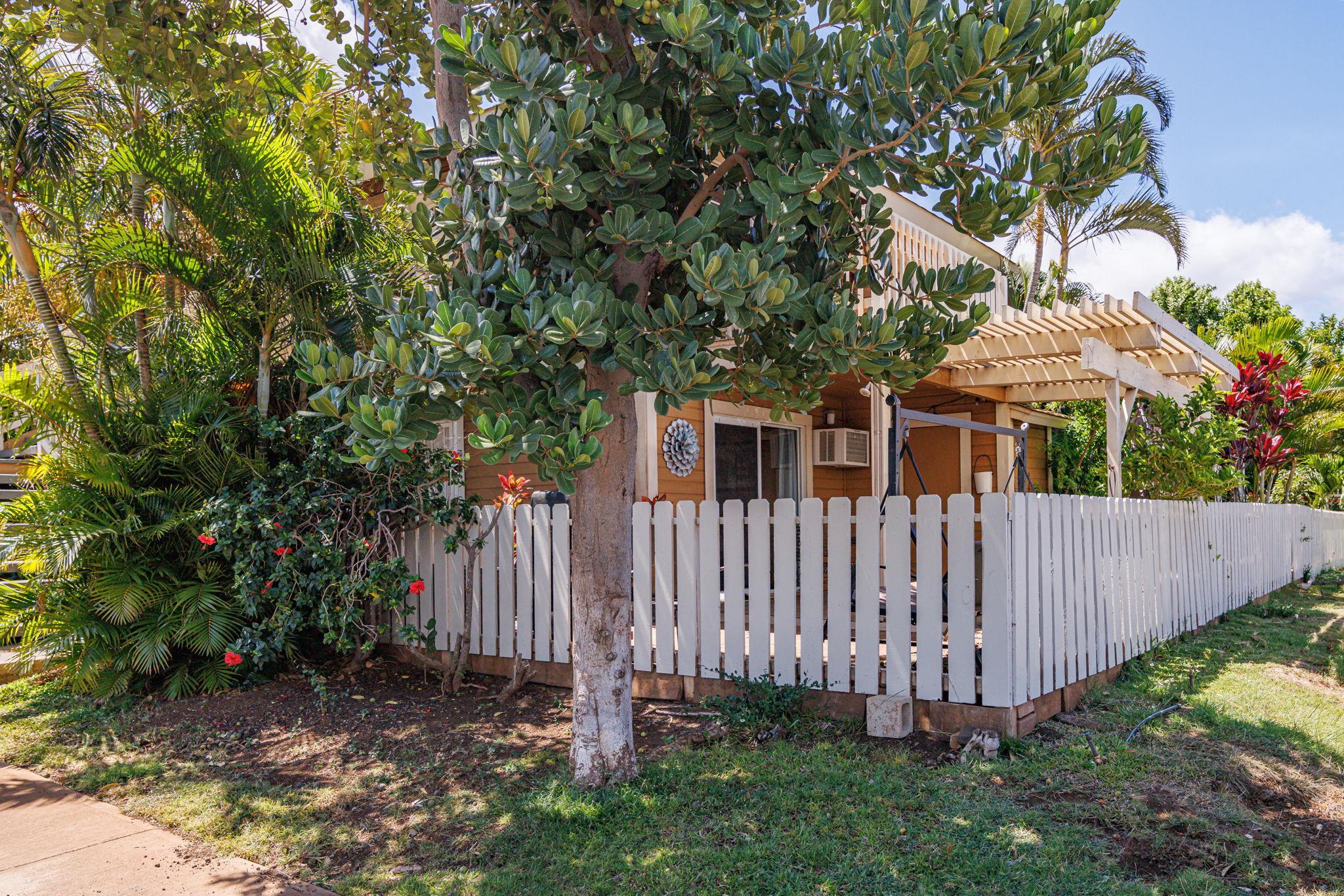 140 UWAPO Rd Unit: 9-103