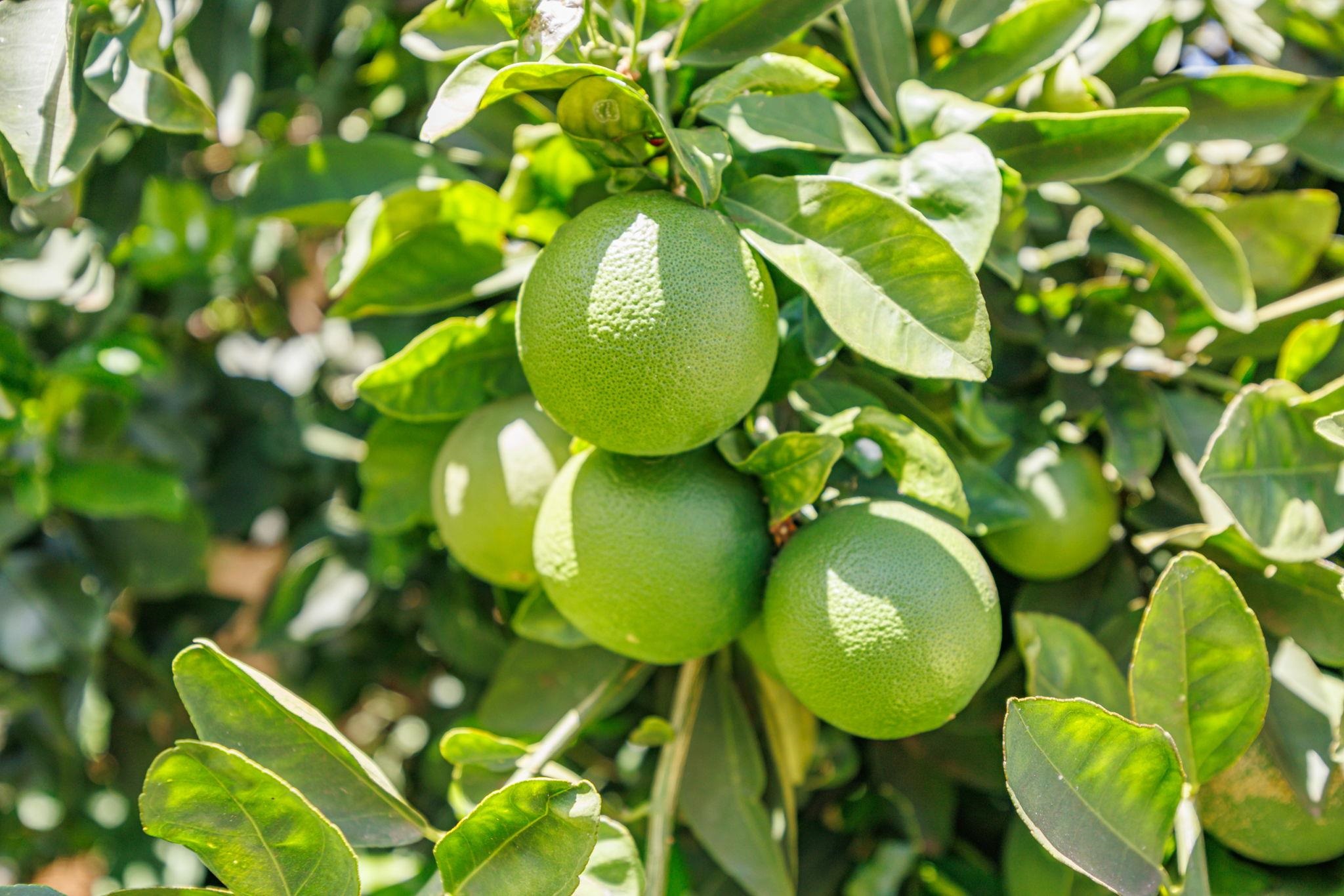 140 UWAPO Rd Unit: 9-103