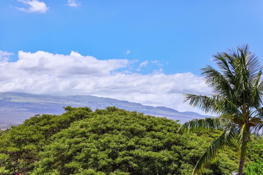 938 S Kihei Rd Unit: 421