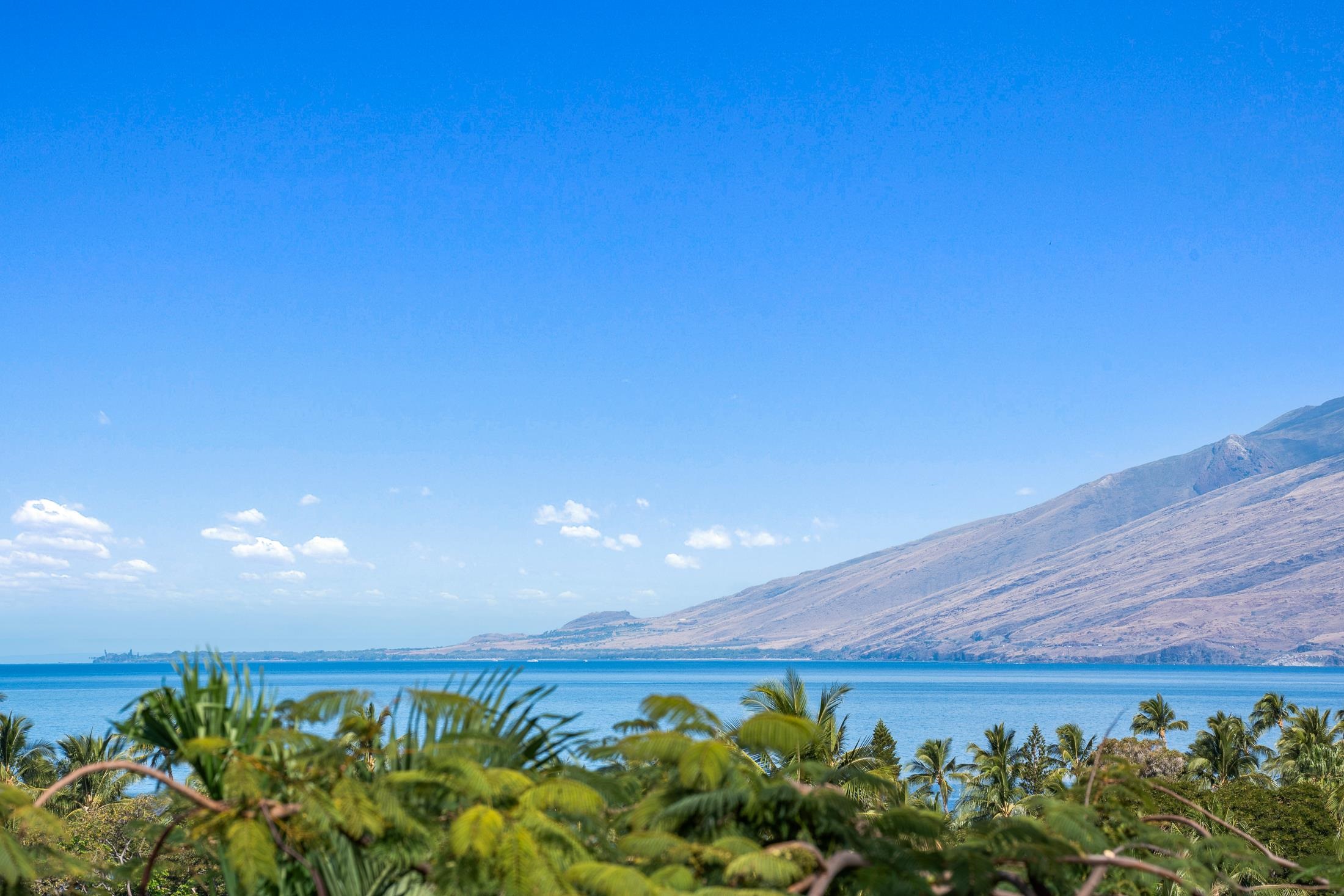 3150 Wailea Alanui Dr Unit: 2902