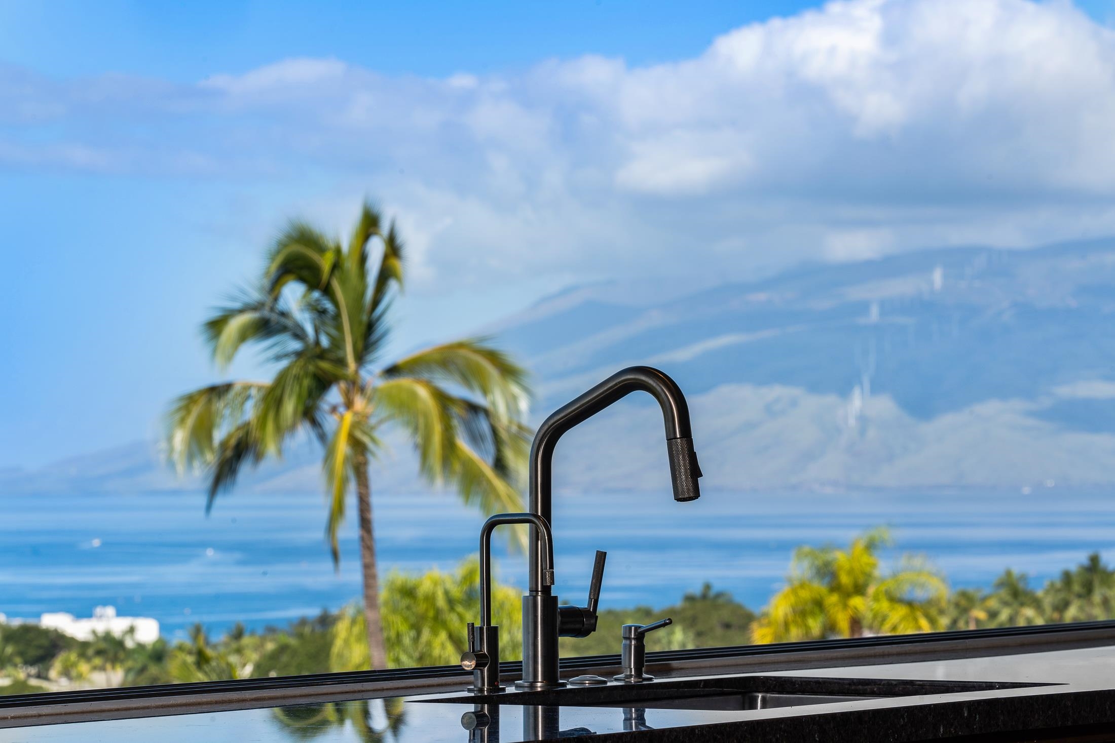 3878 Wailea Ekolu Pl