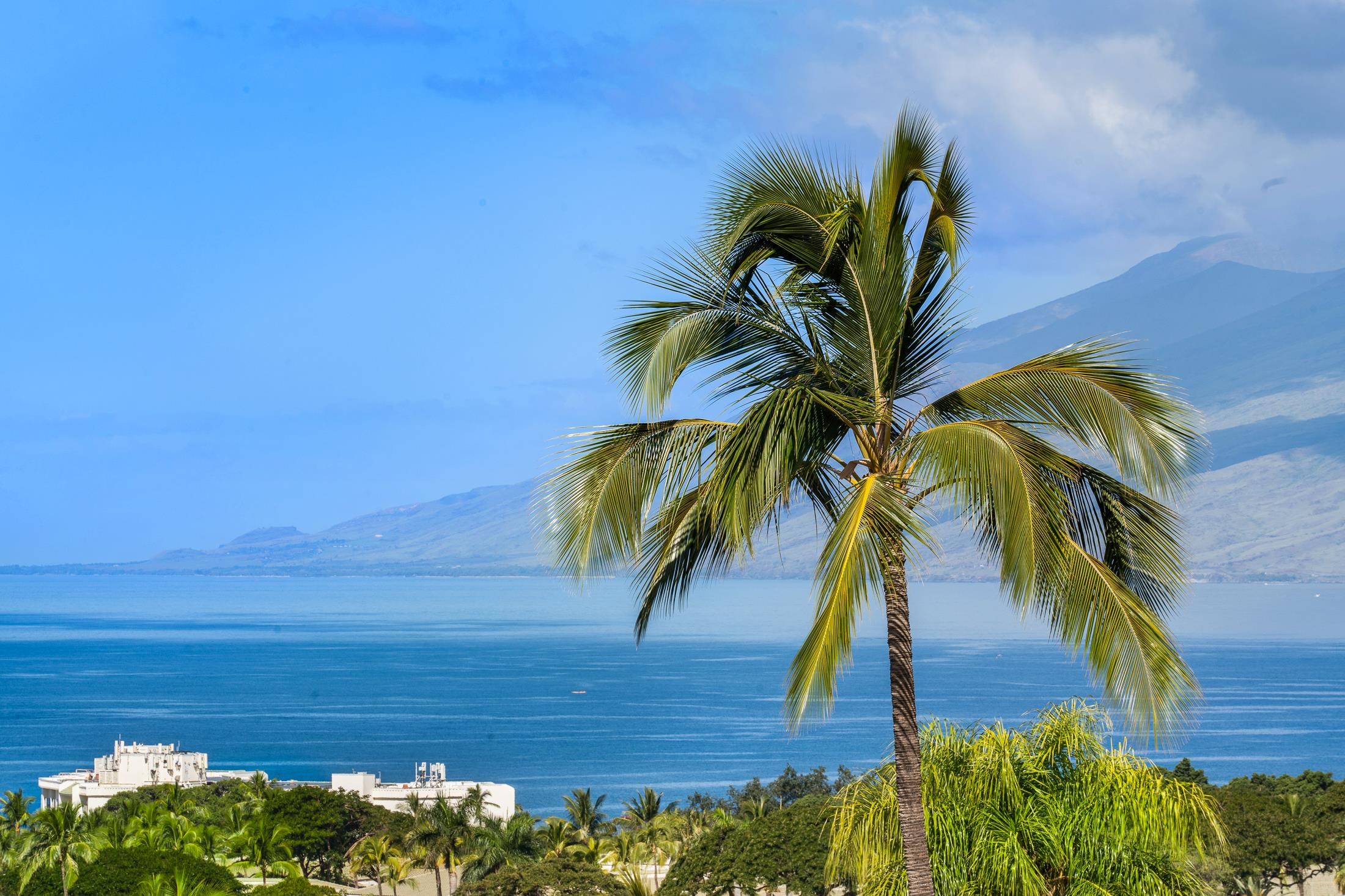 3878 Wailea Ekolu Pl