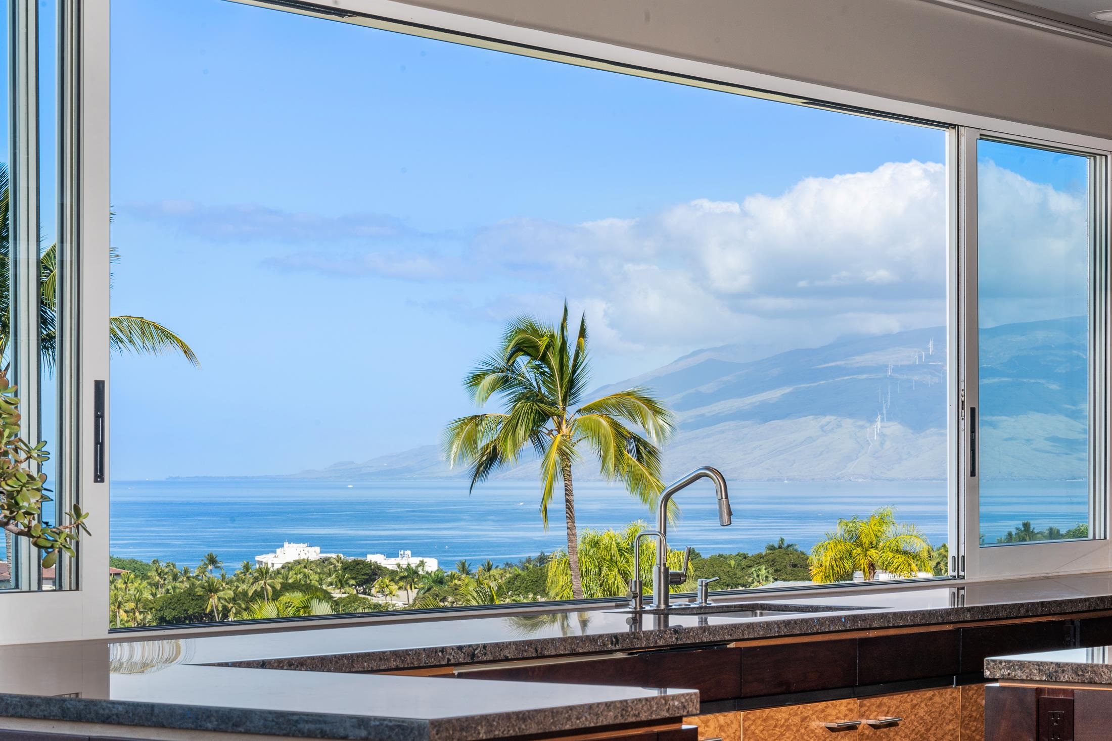 3878 Wailea Ekolu Pl