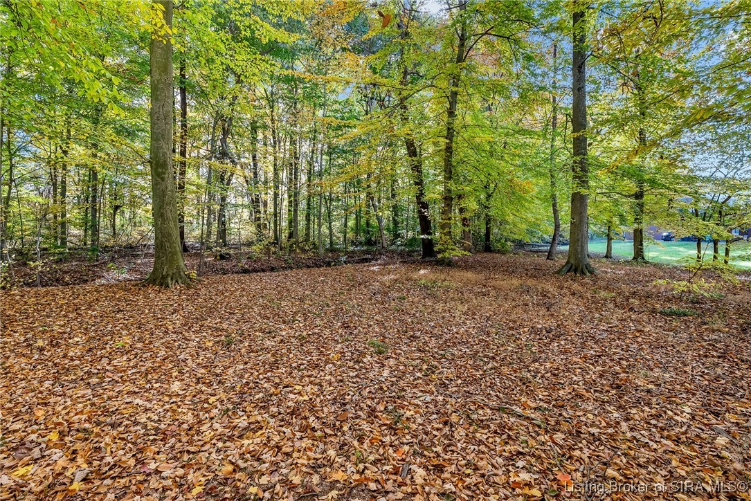 1807 Sterling Oaks Drive