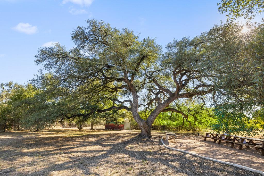 1305 Park CV