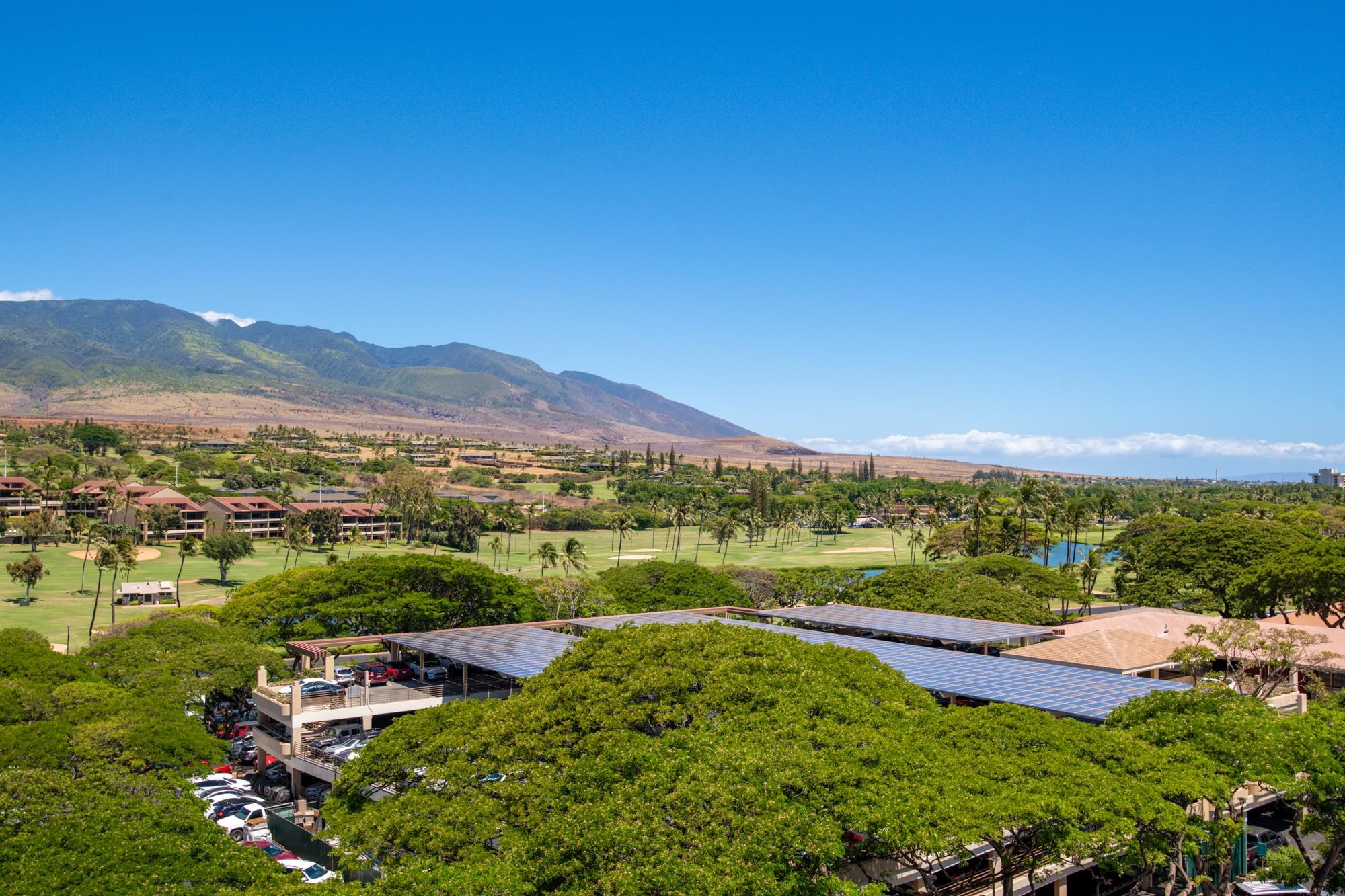 2481 Kaanapali Pkwy Unit: 821/823