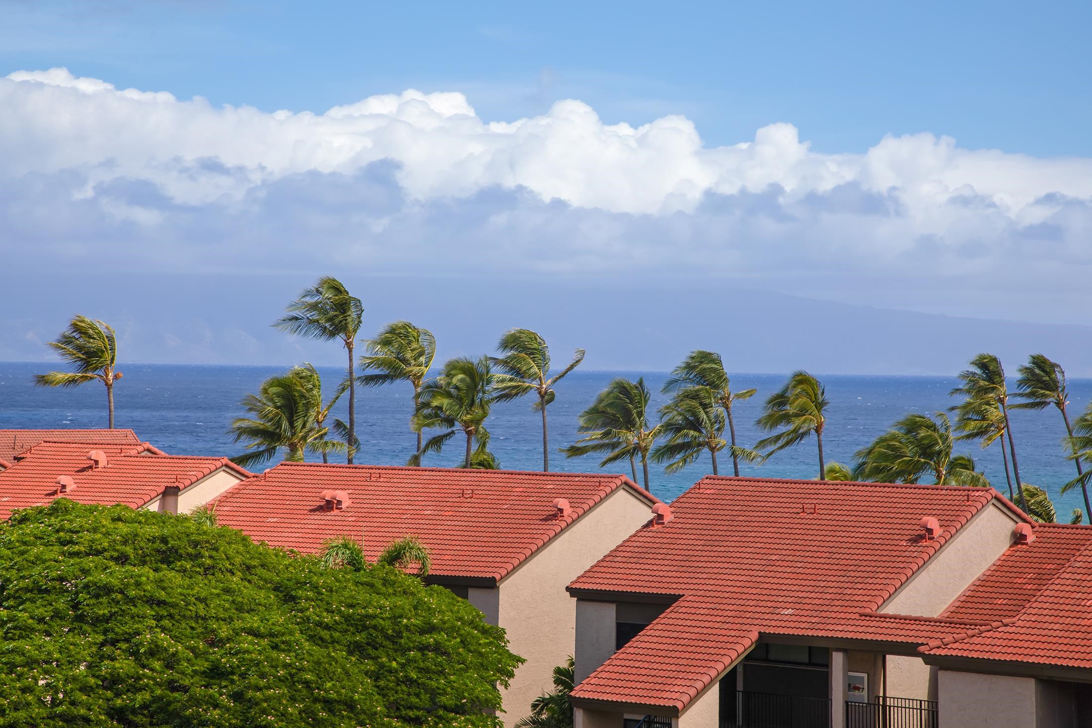 3445 Lower Honoapiilani Rd Unit: 732