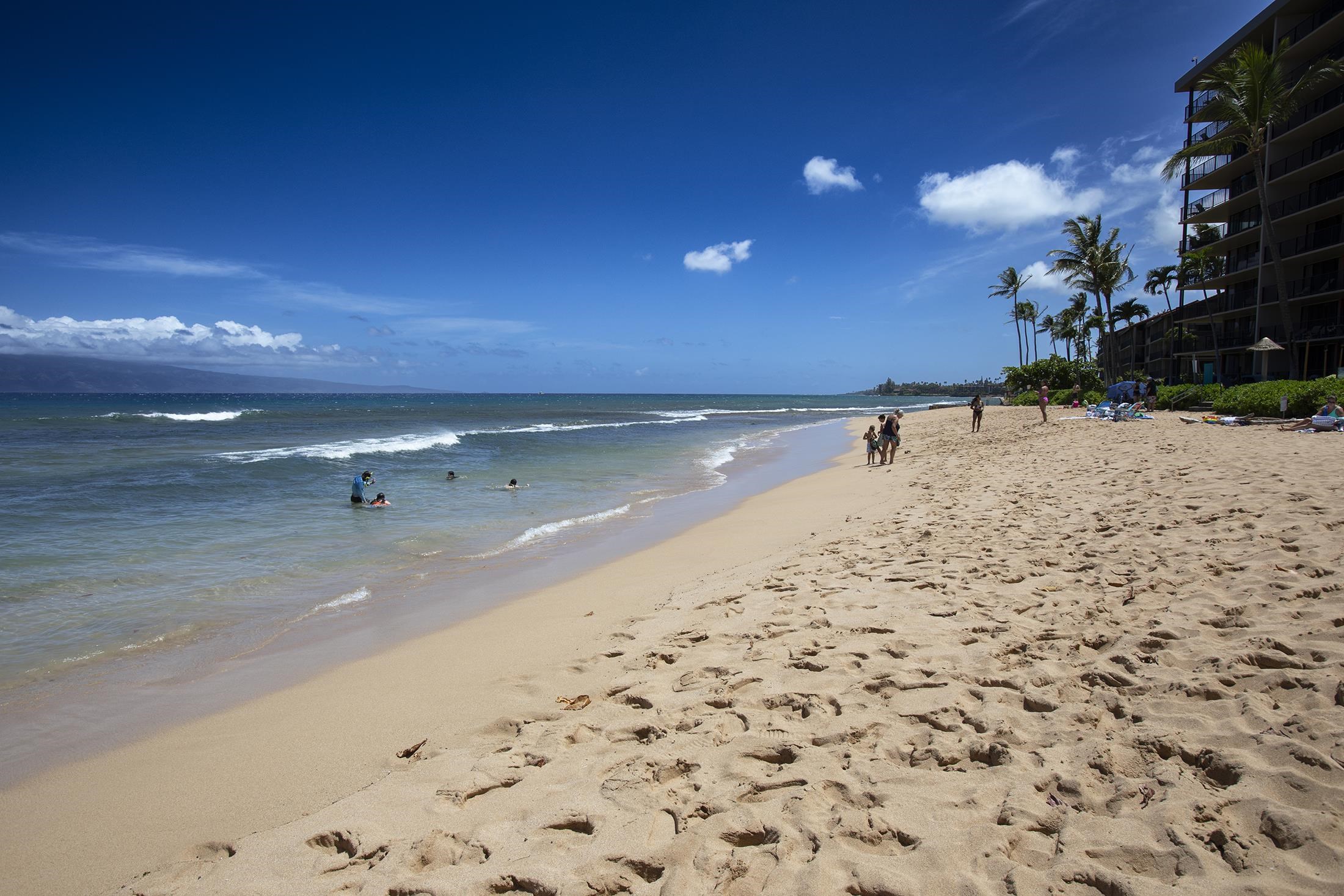 3445 Lower Honoapiilani Rd Unit: 732
