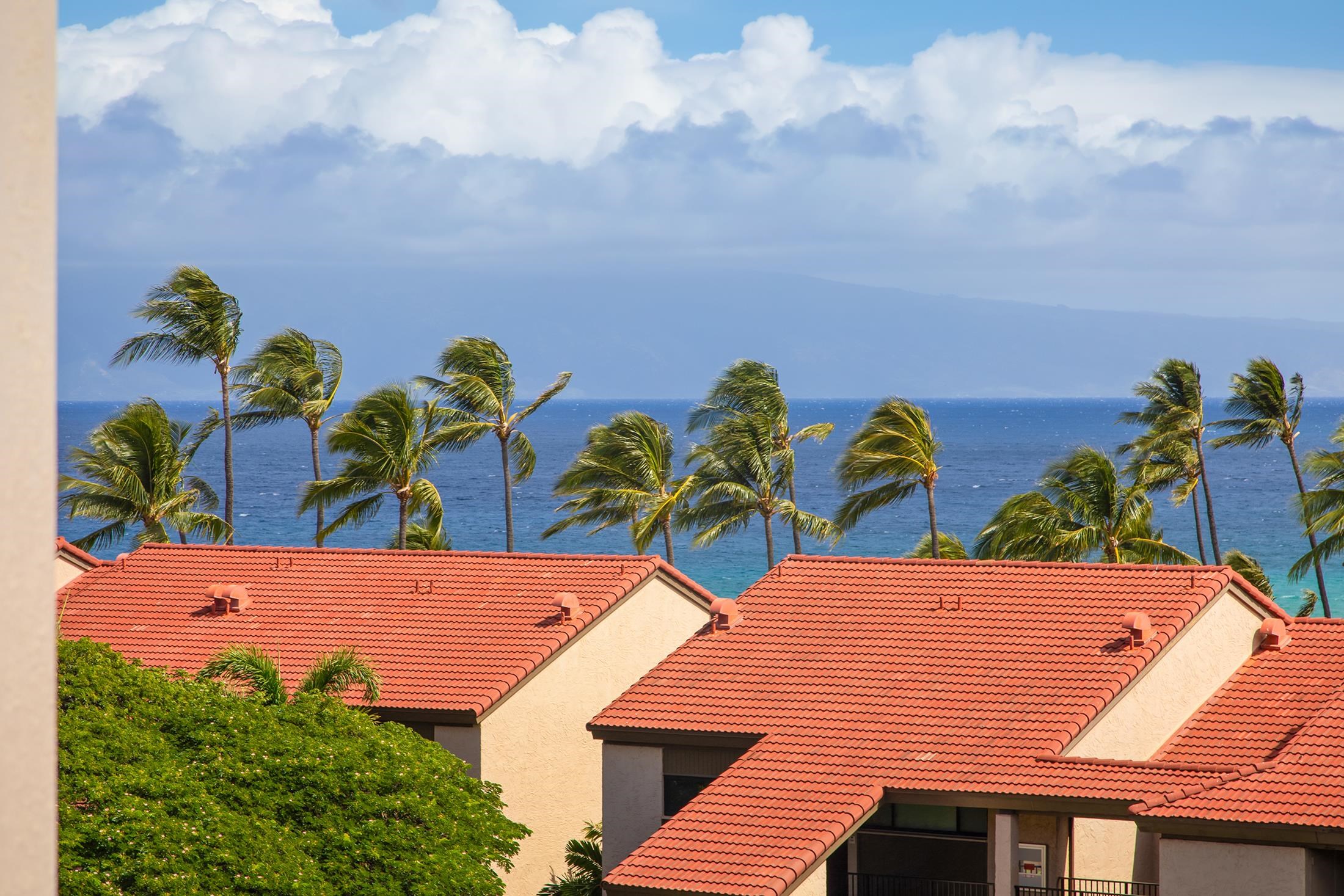 3445 Lower Honoapiilani Rd Unit: 732