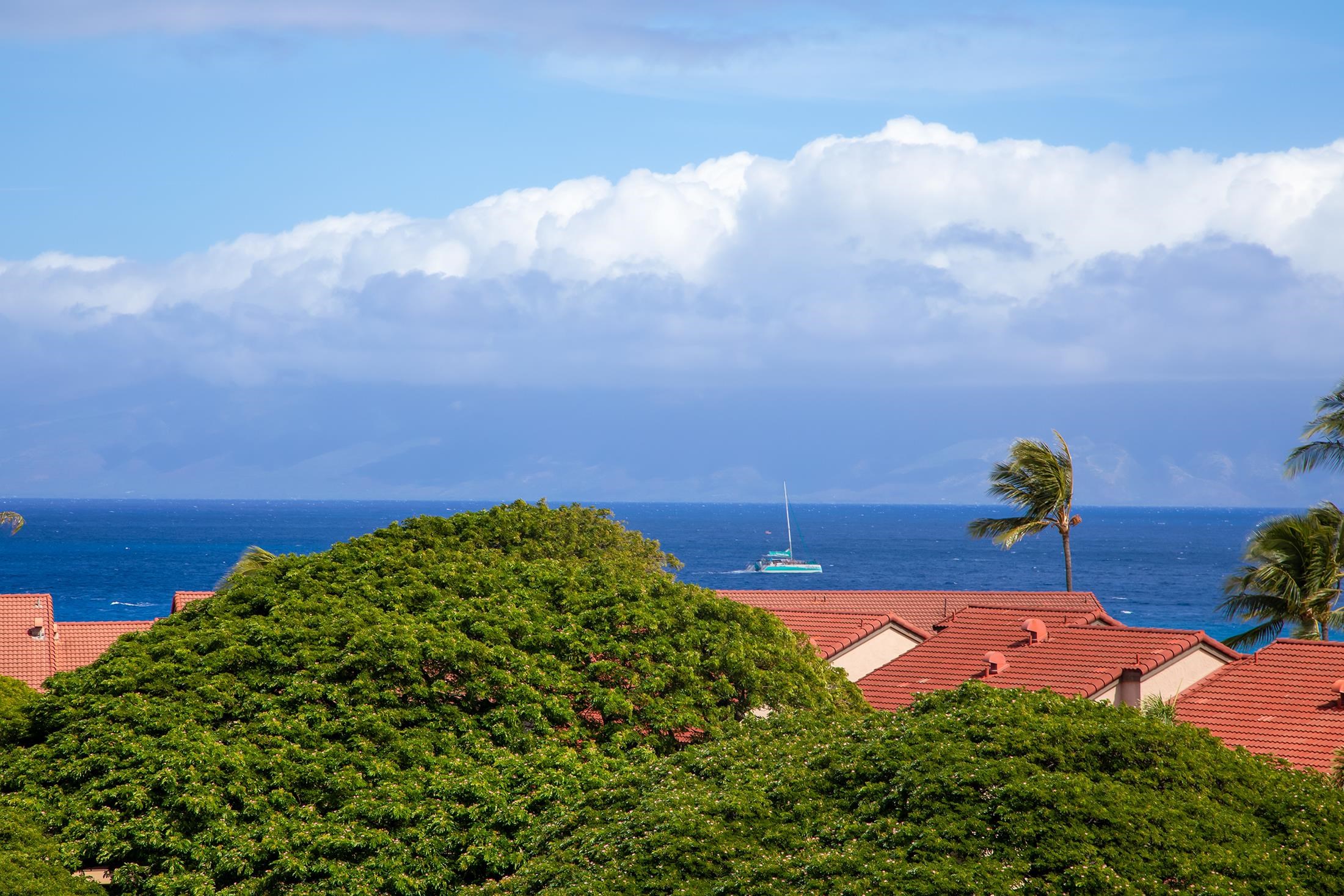 3445 Lower Honoapiilani Rd Unit: 732