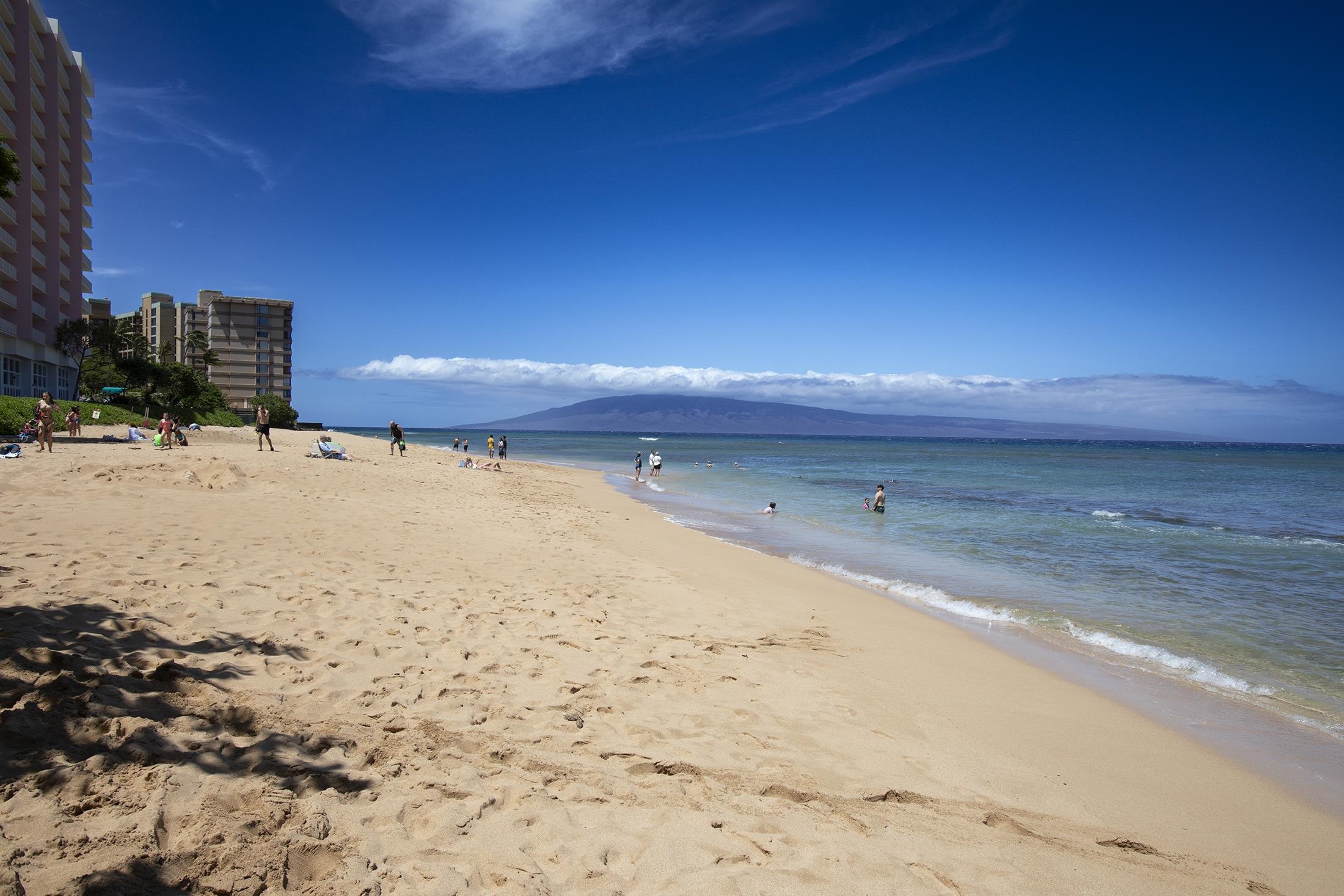 3445 Lower Honoapiilani Rd Unit: 732