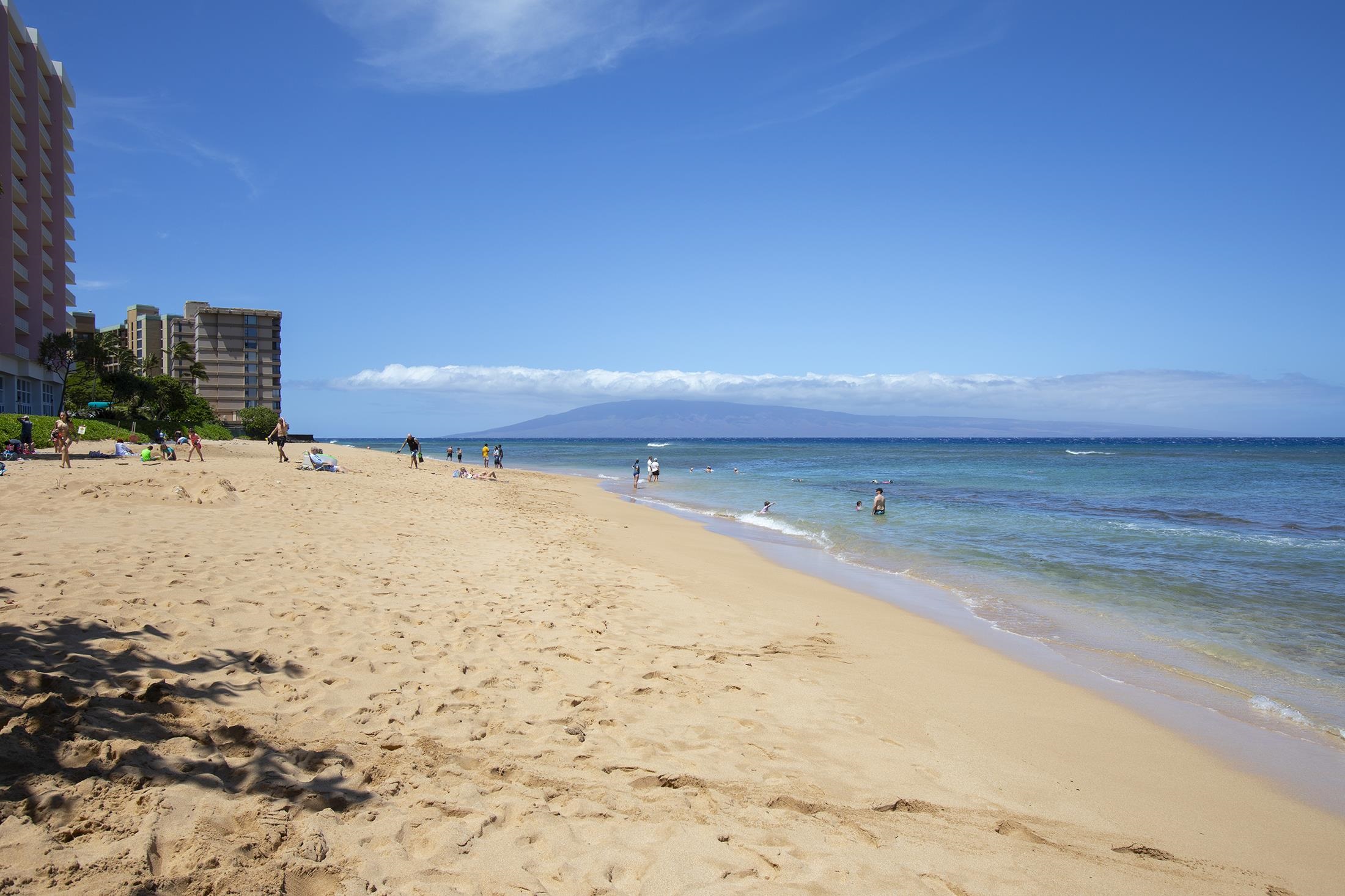 3445 Lower Honoapiilani Rd Unit: 732