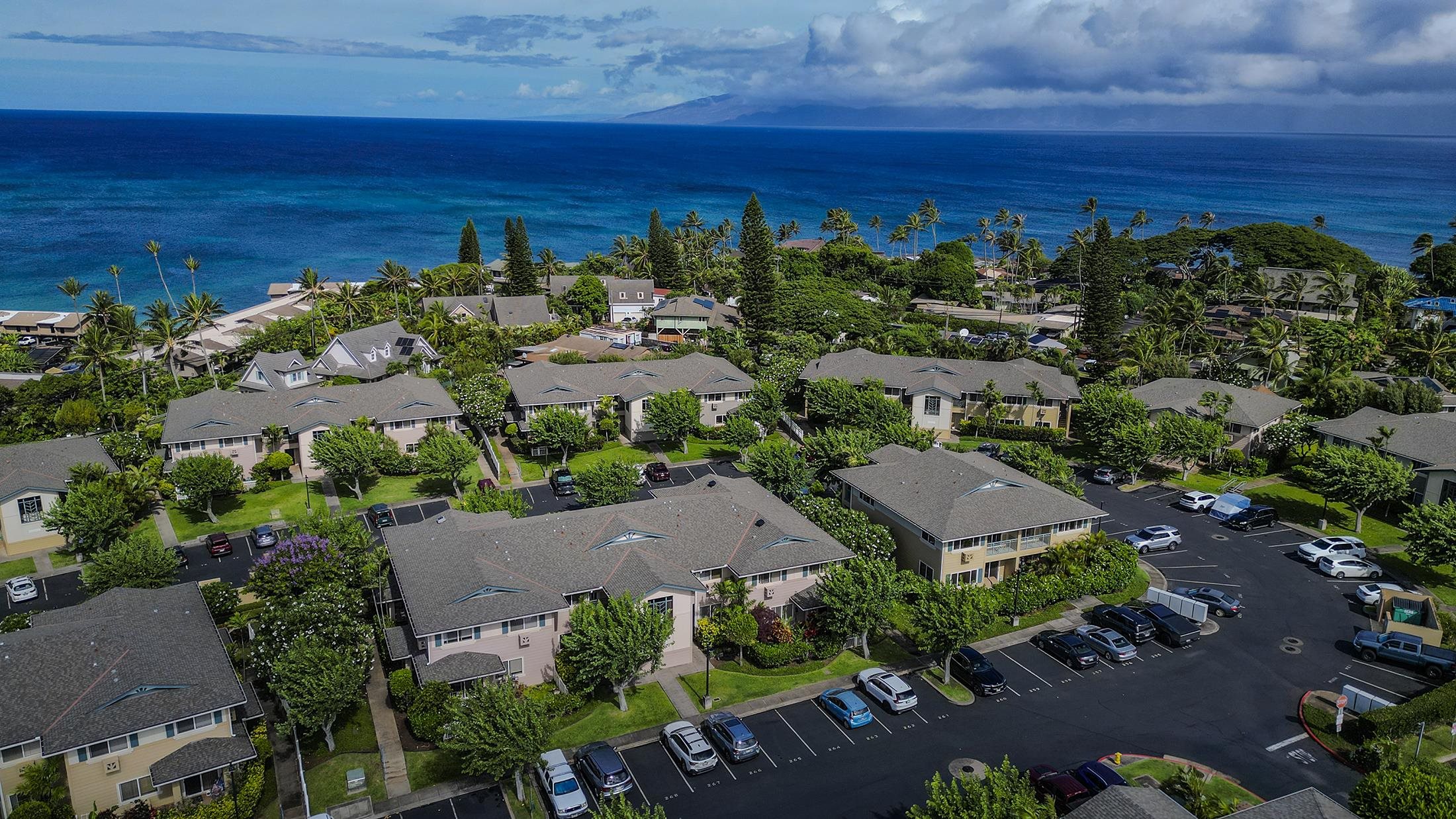 133 Punohu Ln Unit: 8-3