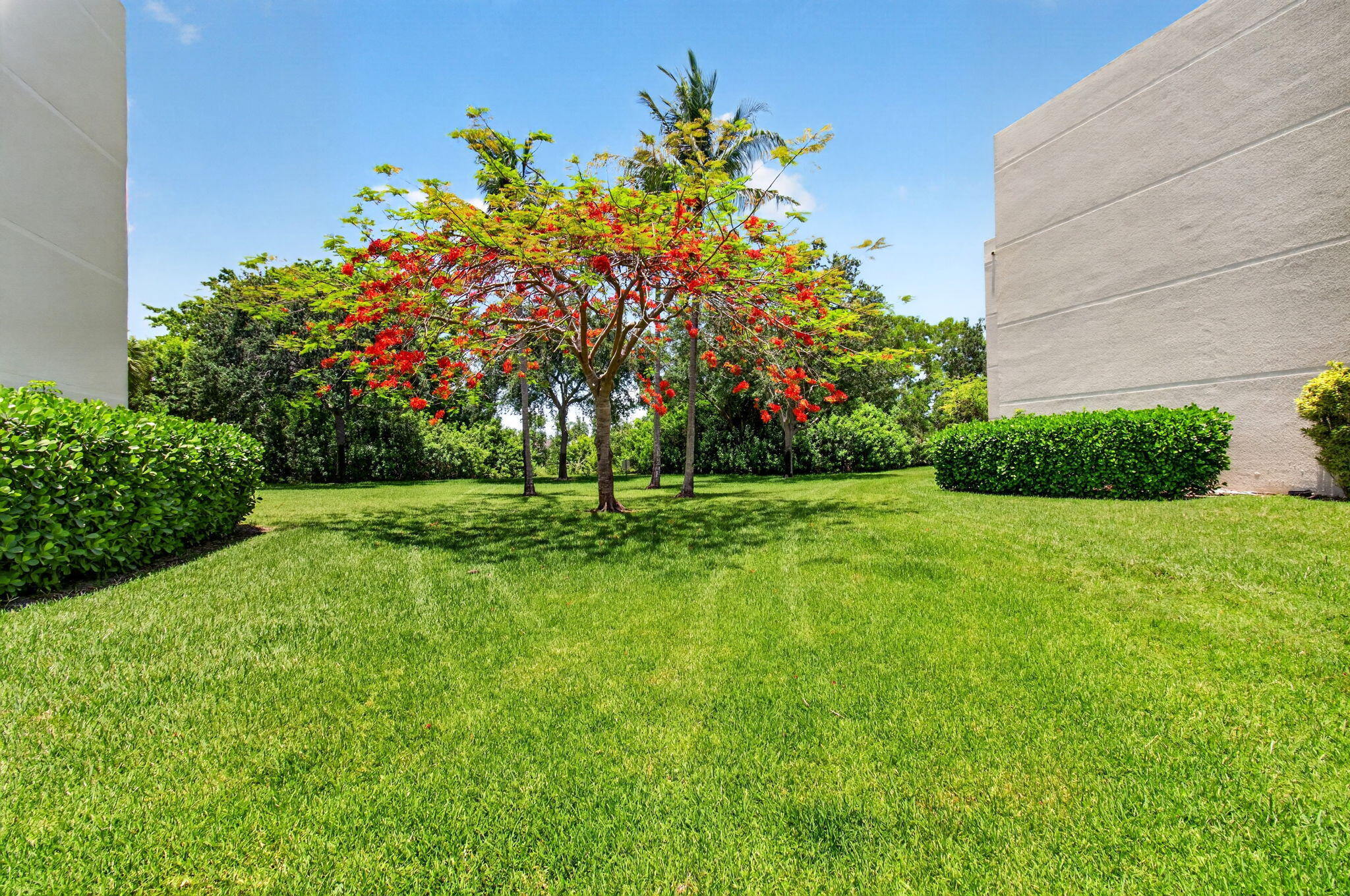 5750 Camino Del Sol 201