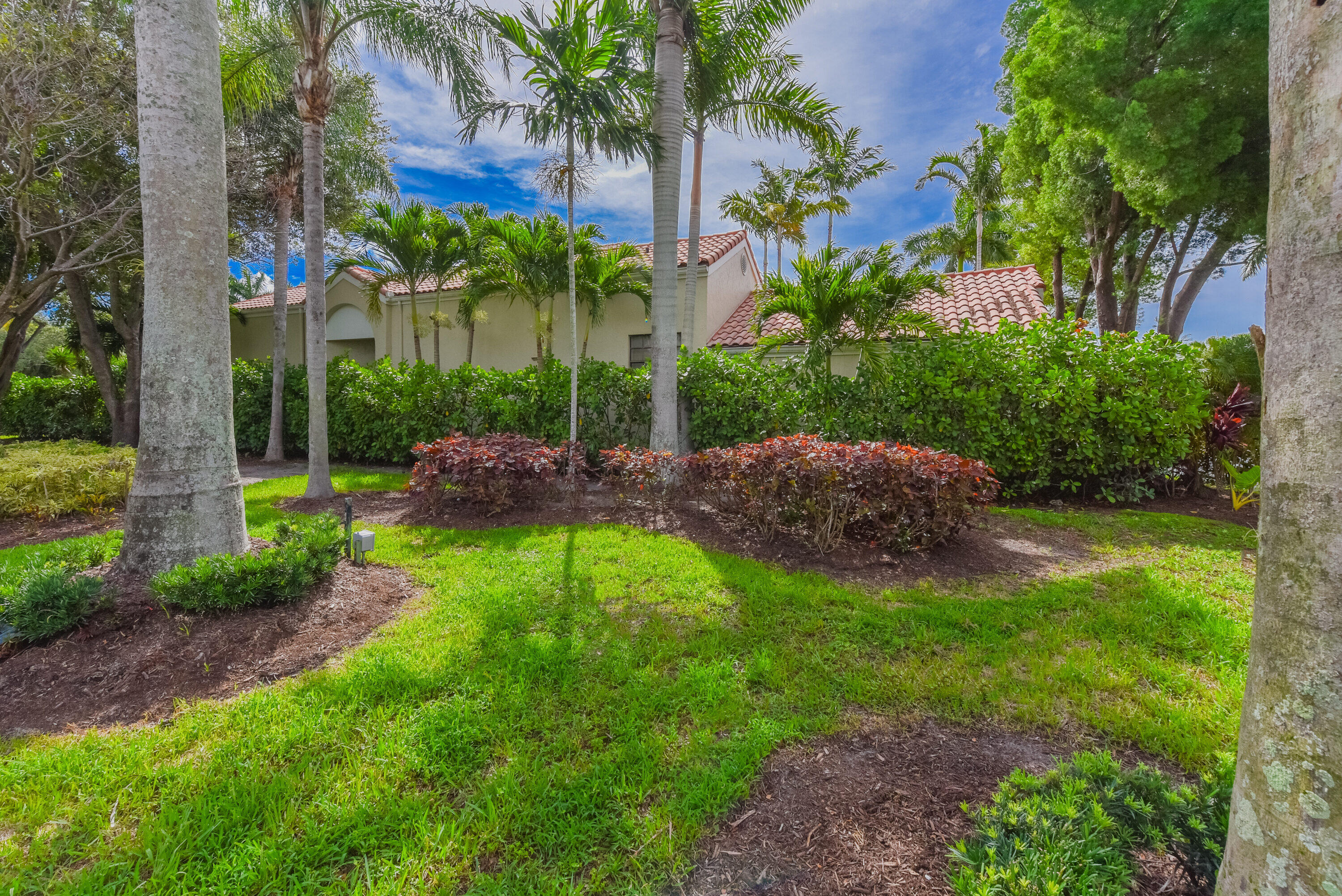 7493 Campo Florido