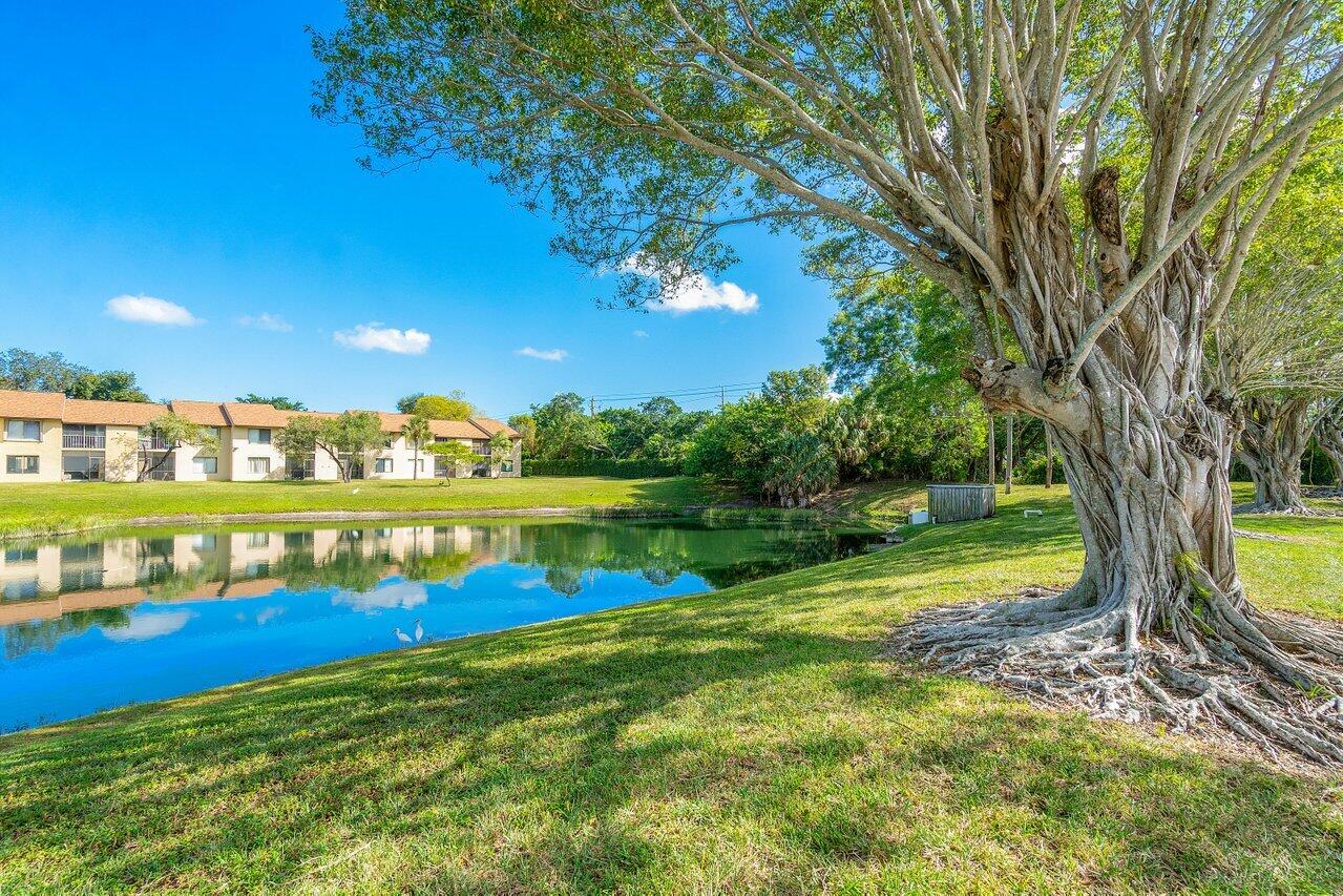 6736 Palmetto Circle S 105