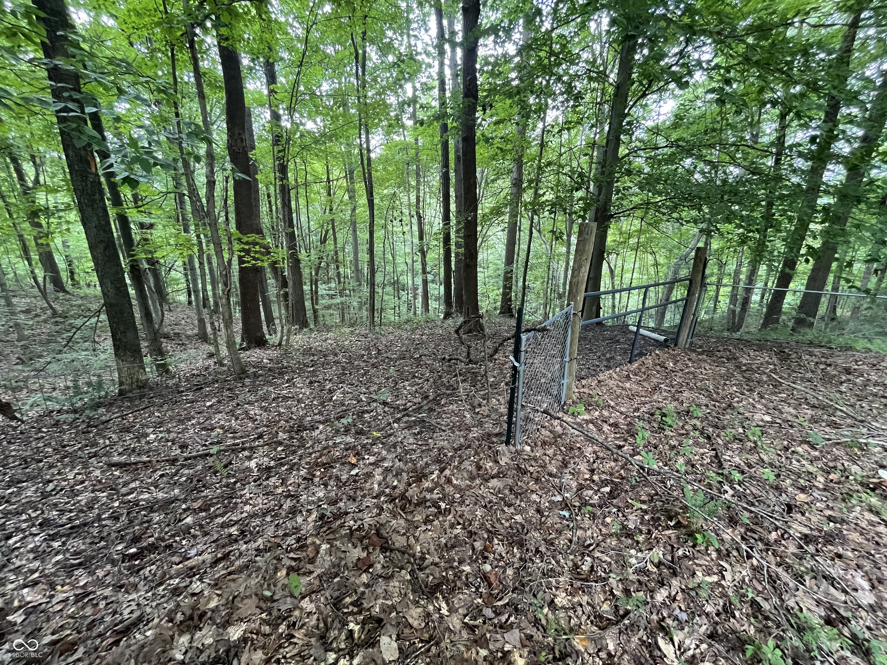 1259 Livingston Lane
