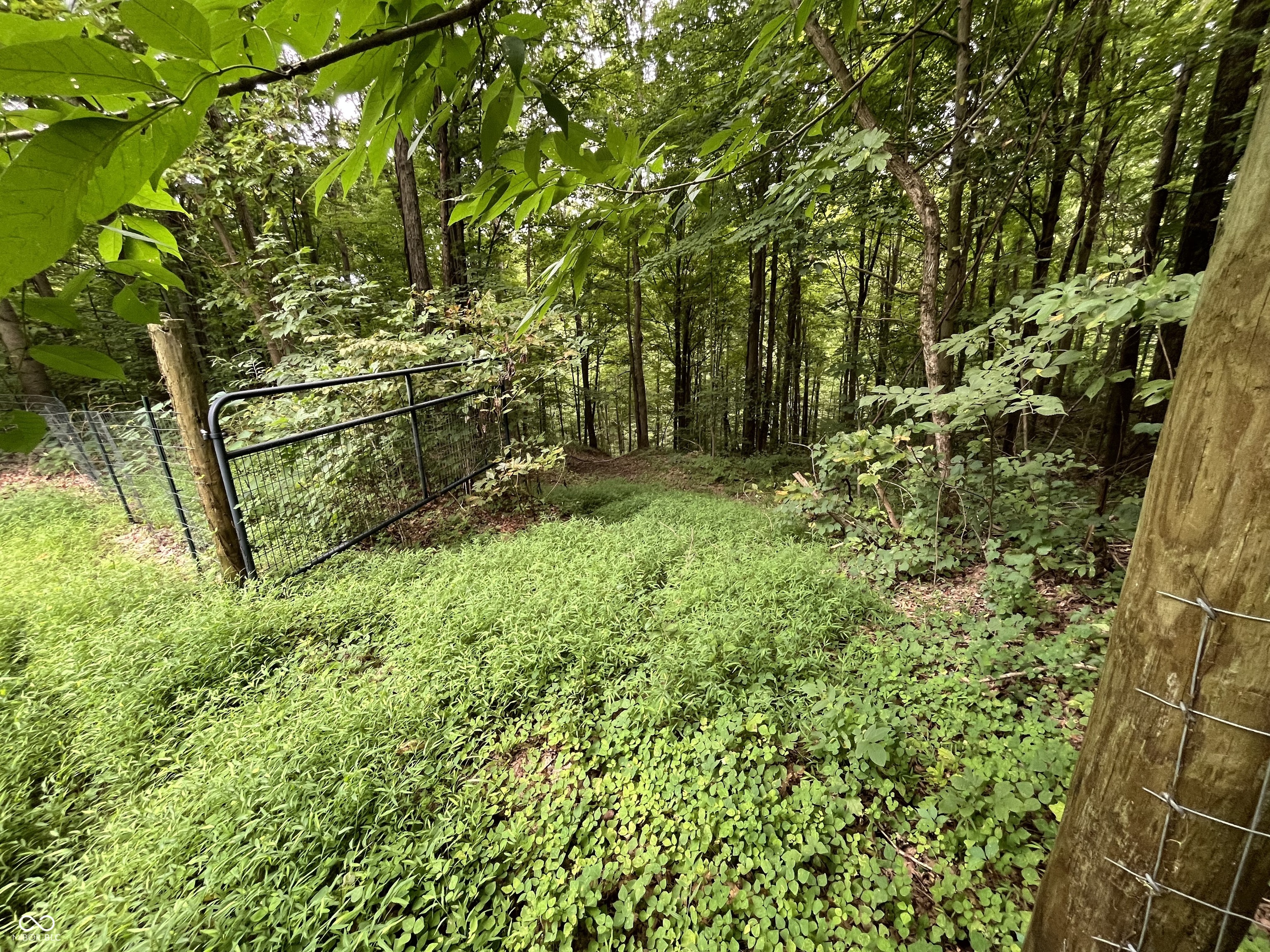 1259 Livingston Lane