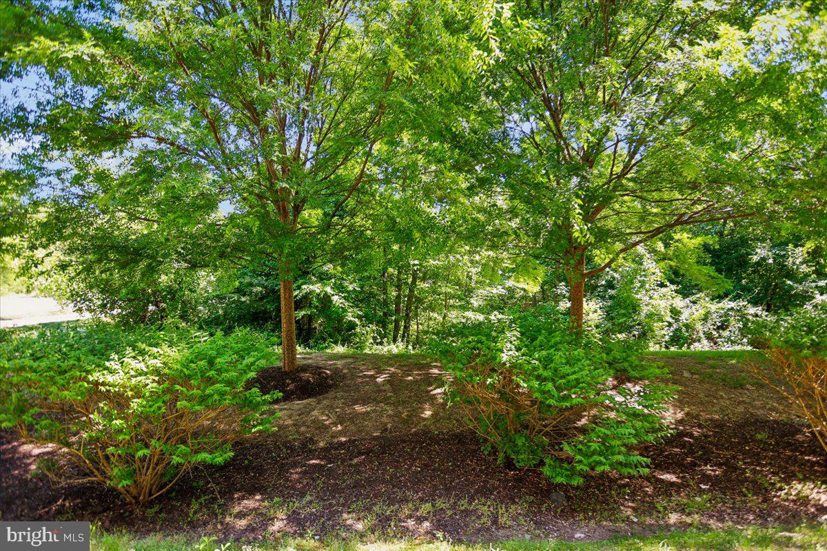 404 WILLOW BEND DRIVE