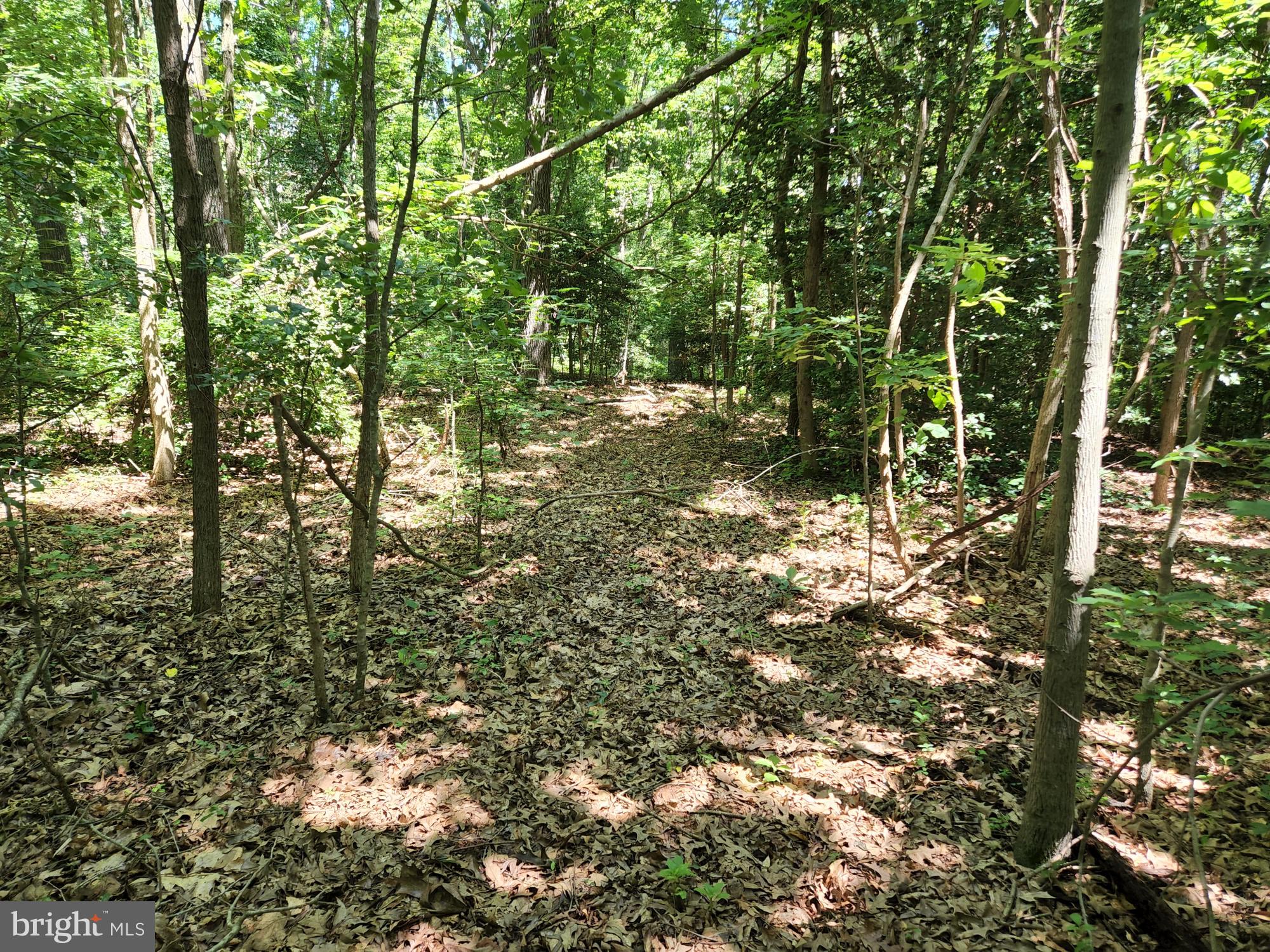 Meadowbrook Rd