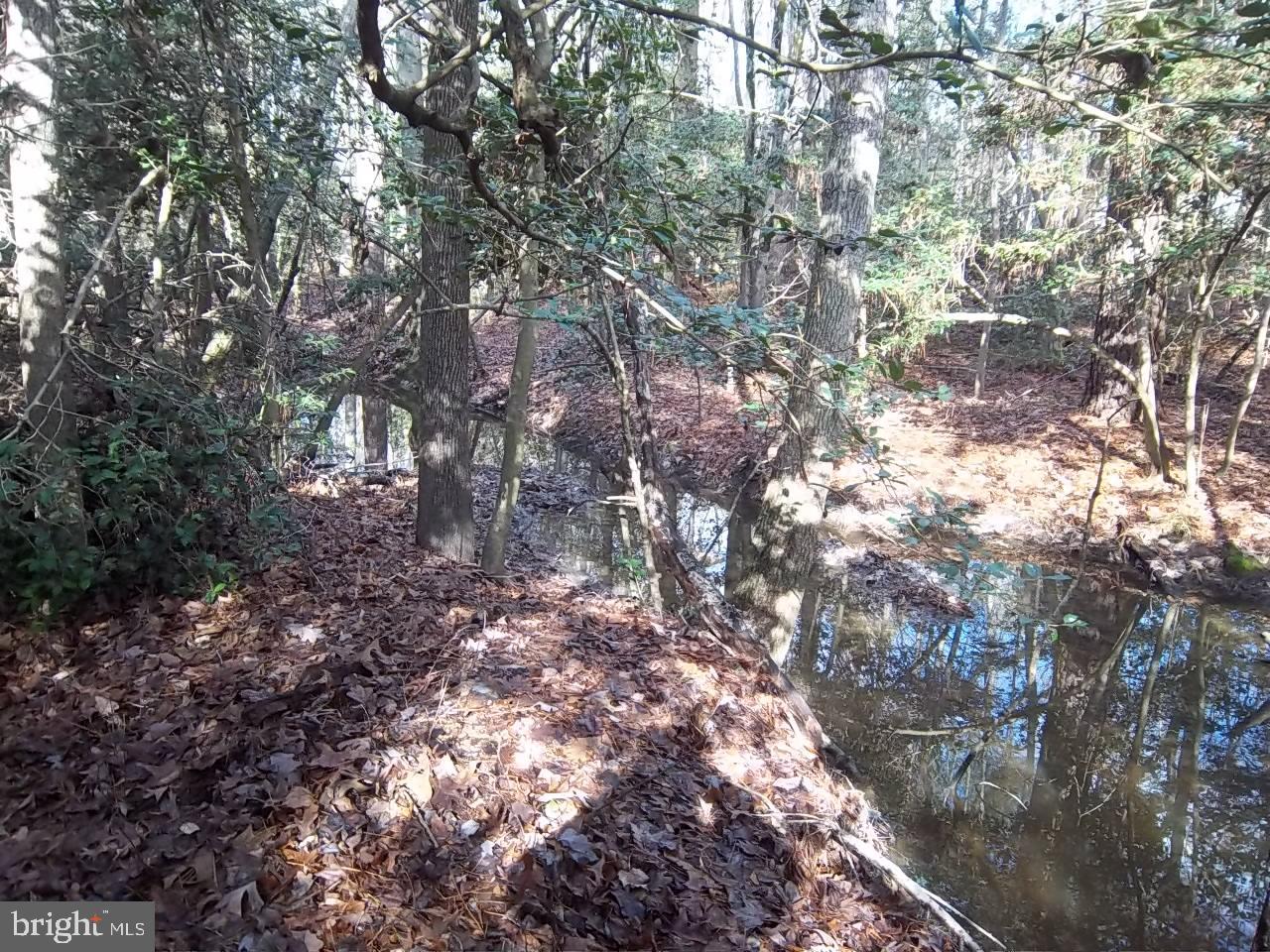 Meadowbrook Rd