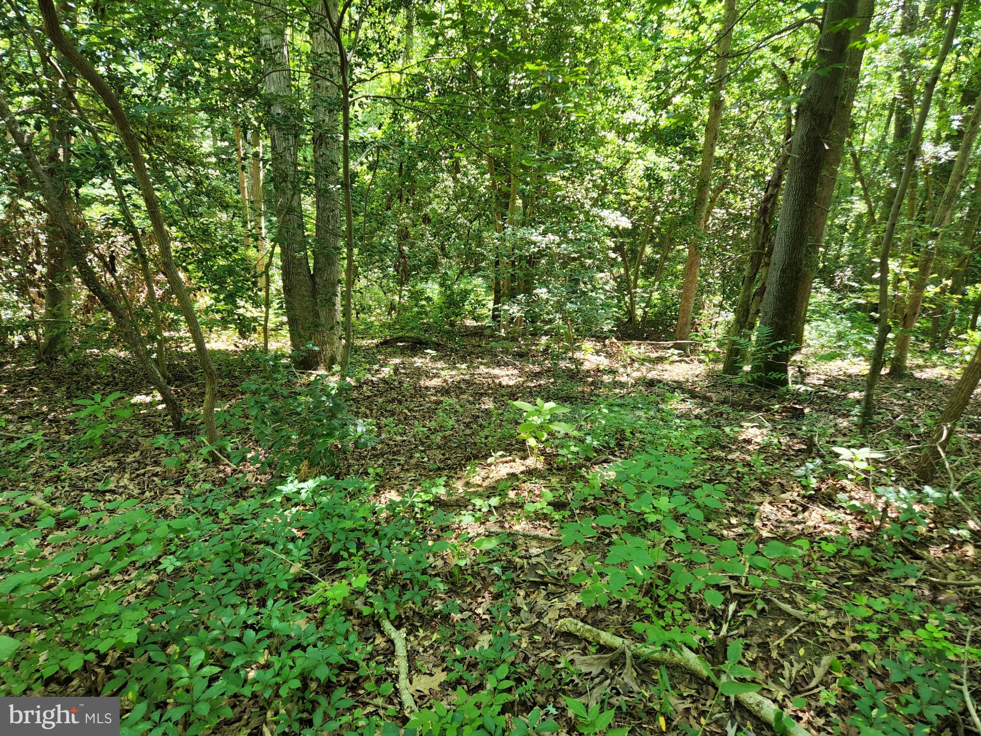Meadowbrook Rd