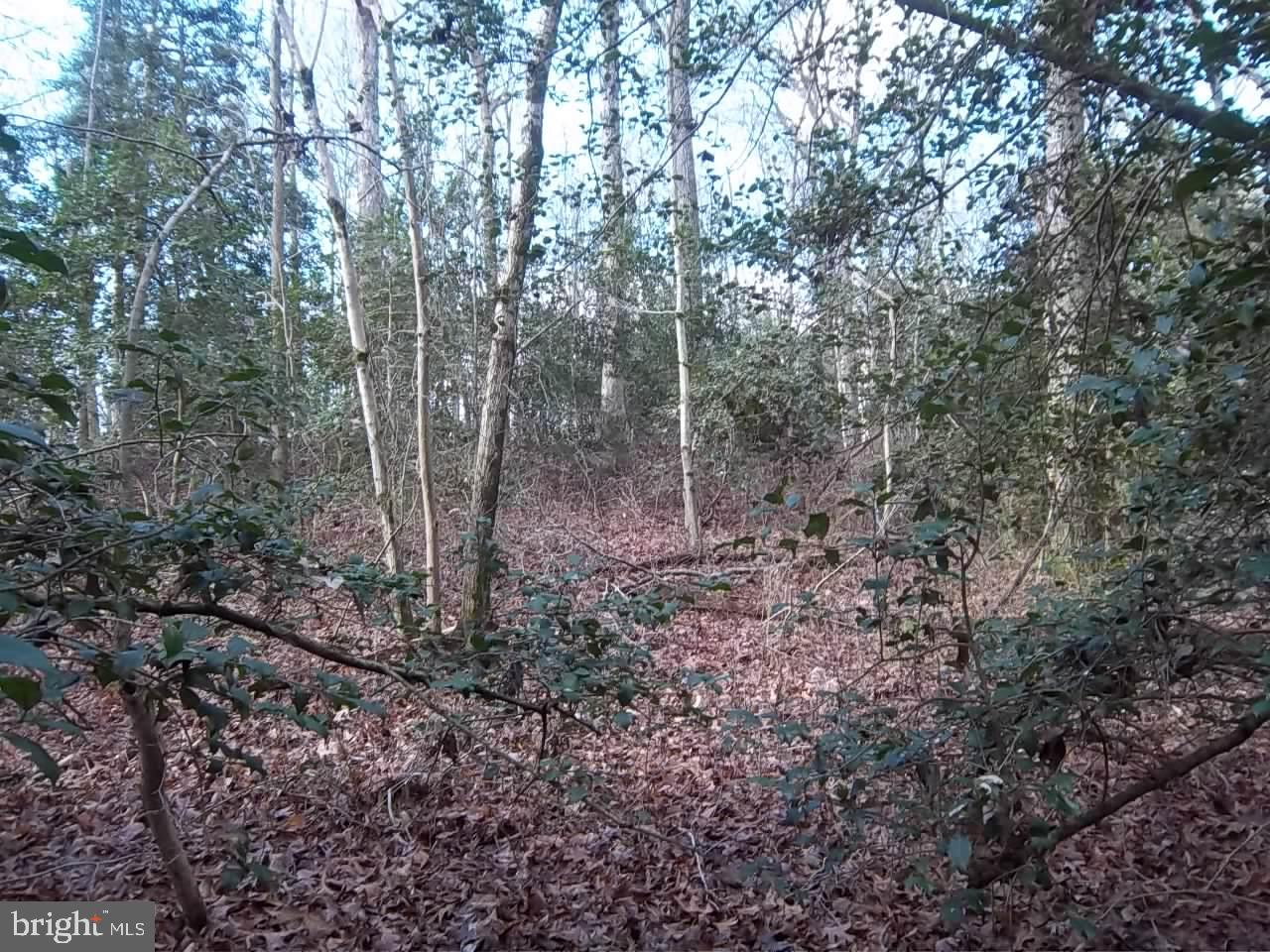 Meadowbrook Rd