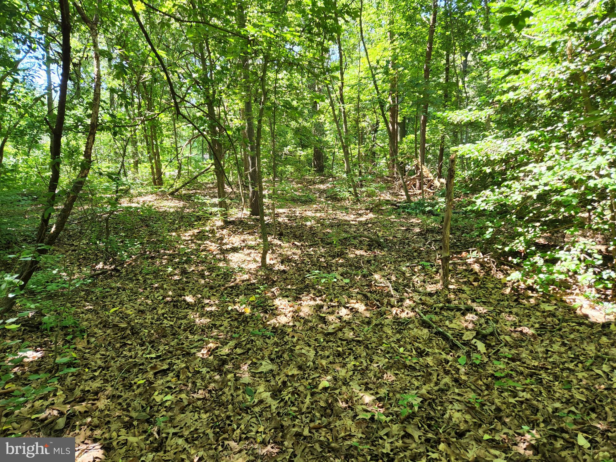 Meadowbrook Rd