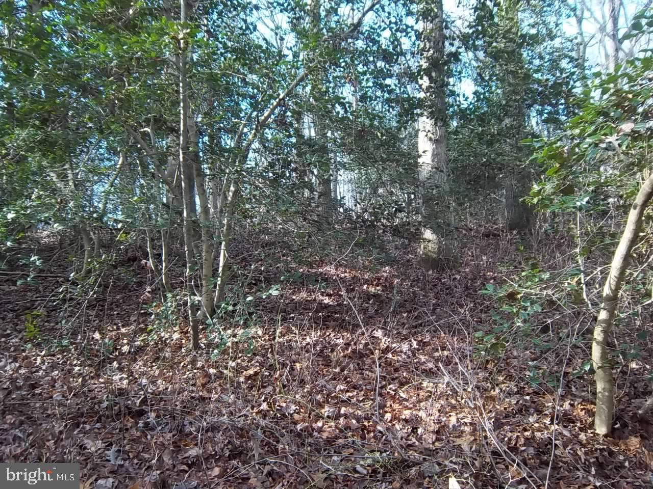 Meadowbrook Rd