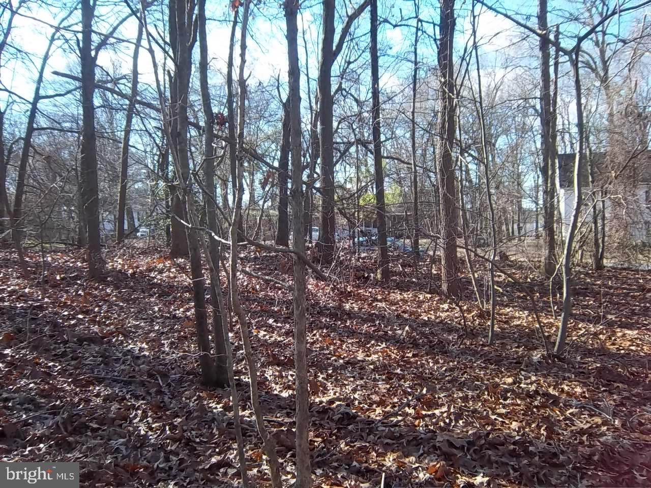 Meadowbrook Rd