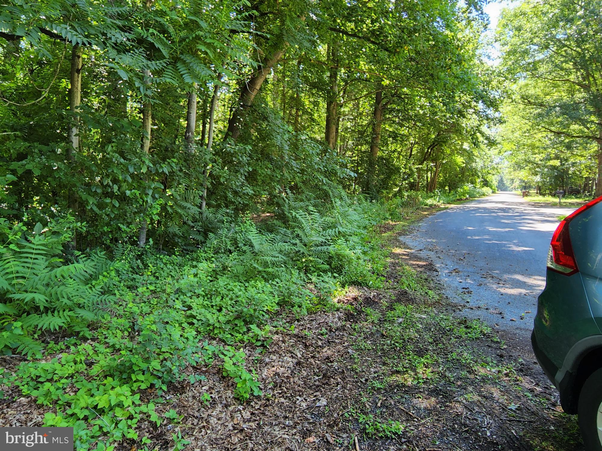 Meadowbrook Rd