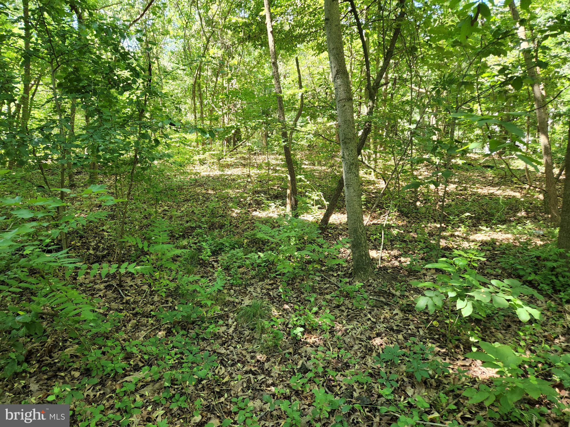 Meadowbrook Rd