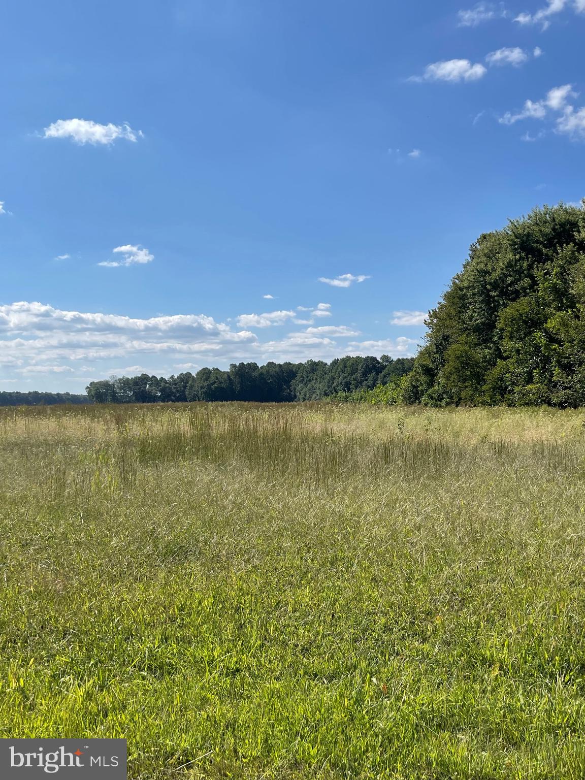 Burrsville Branch Rd