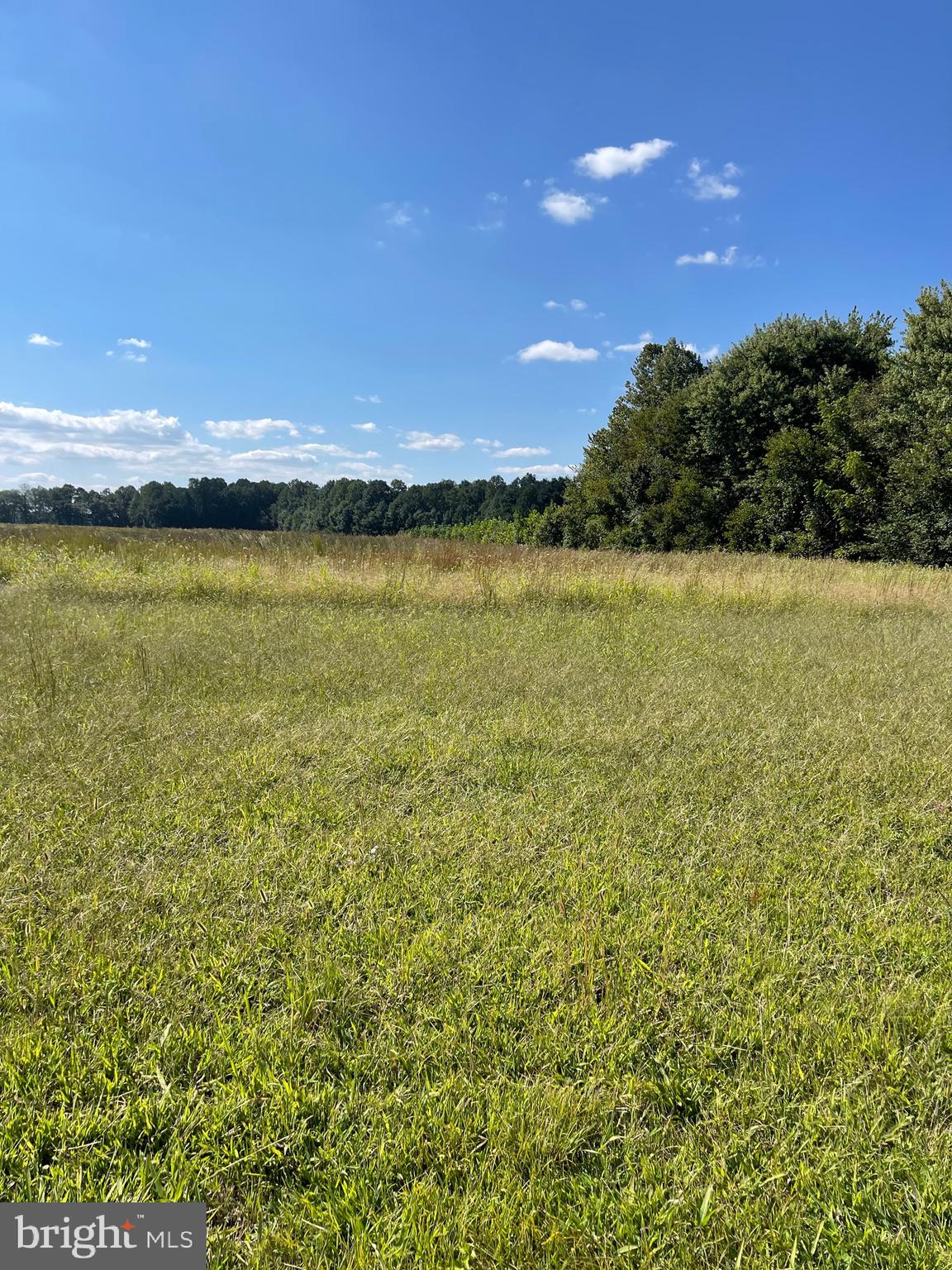 Burrsville Branch Rd