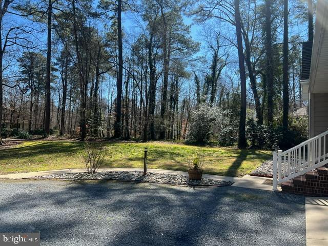 8566 Dogwood Blossom Ln