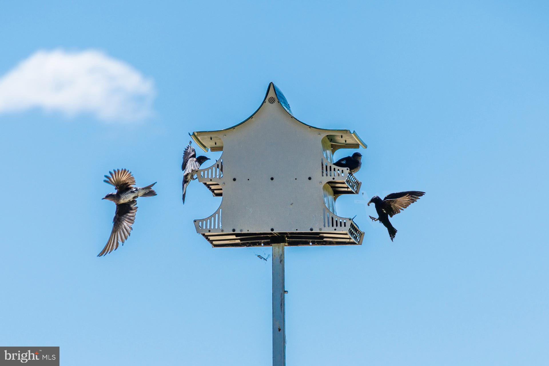 20786 Frazier Point Lane Ln