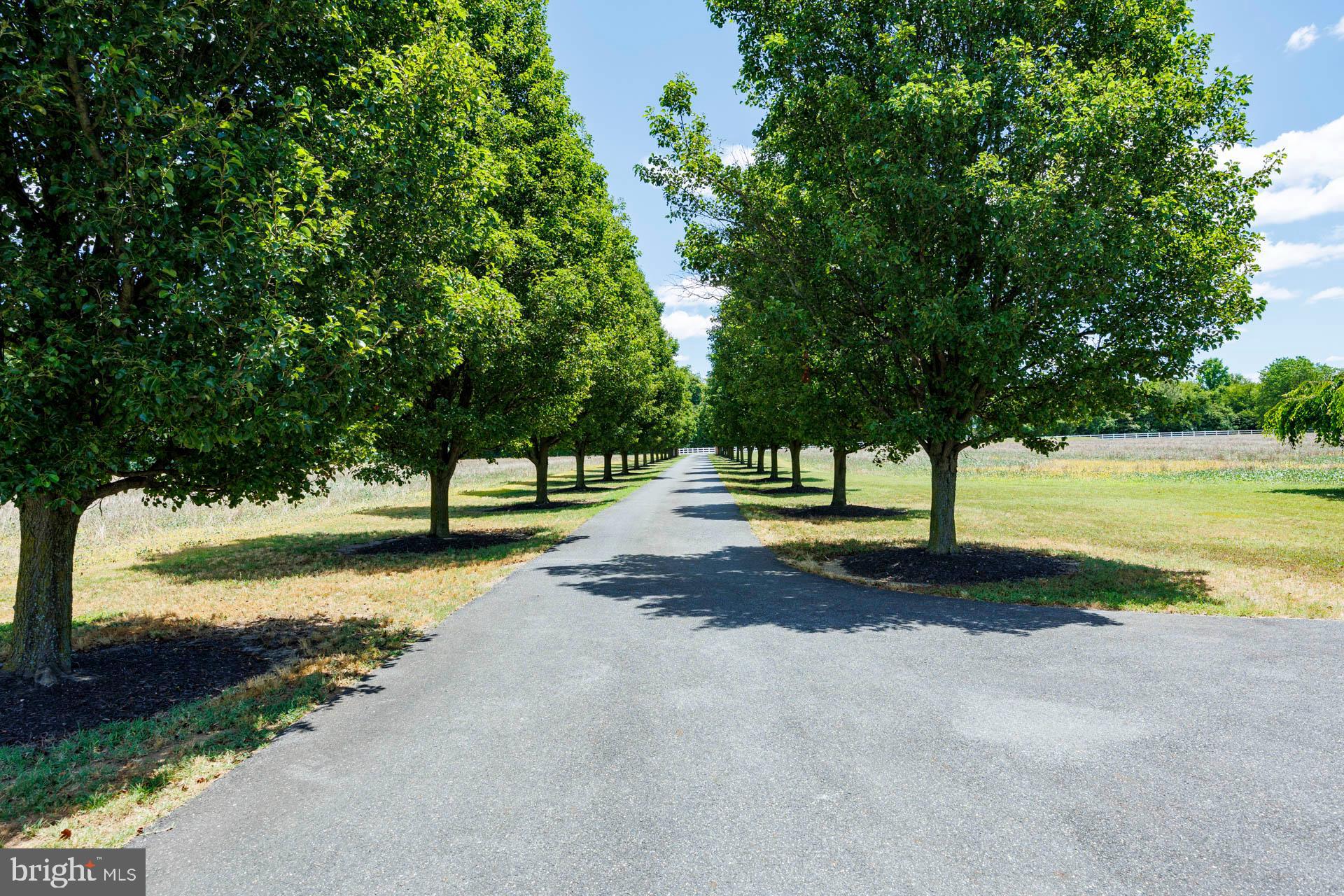 20786 Frazier Point Lane Ln