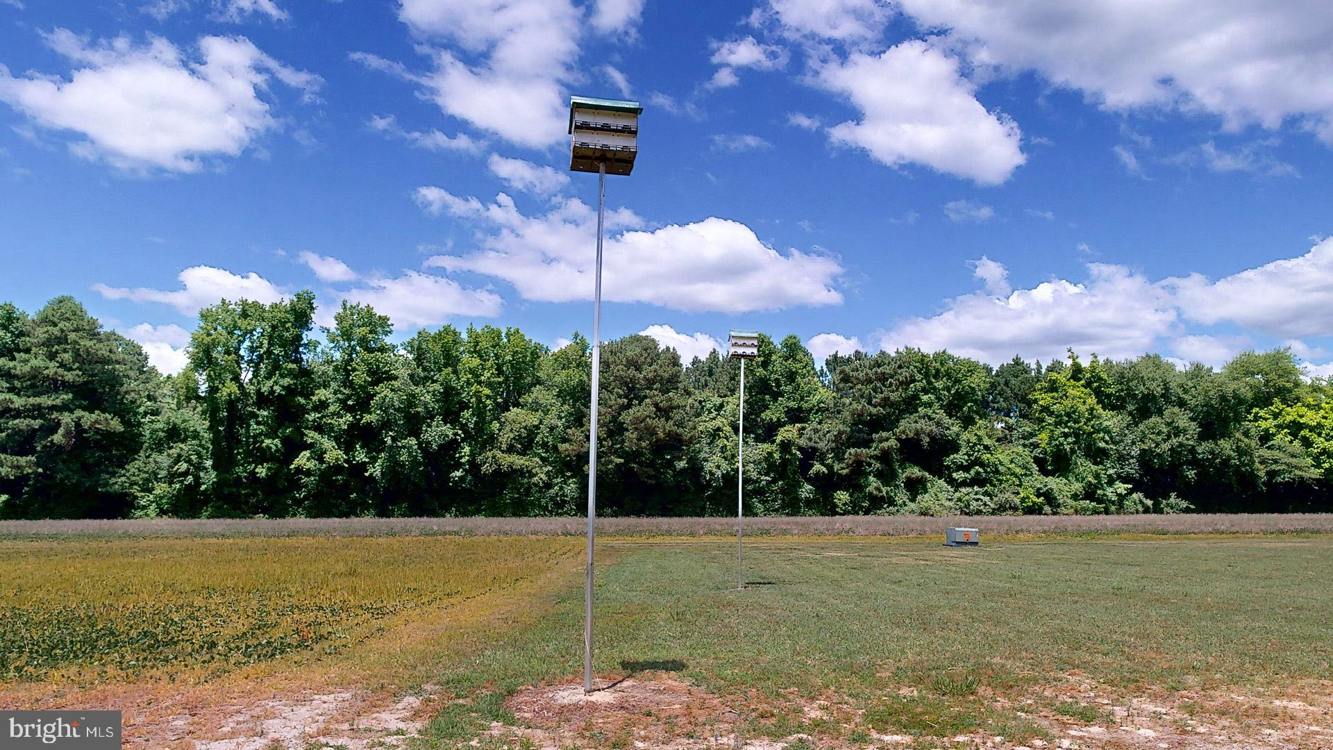 20786 Frazier Point Lane Ln