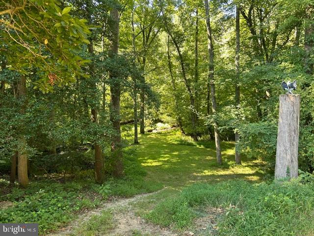 12710 Ridgely Rd