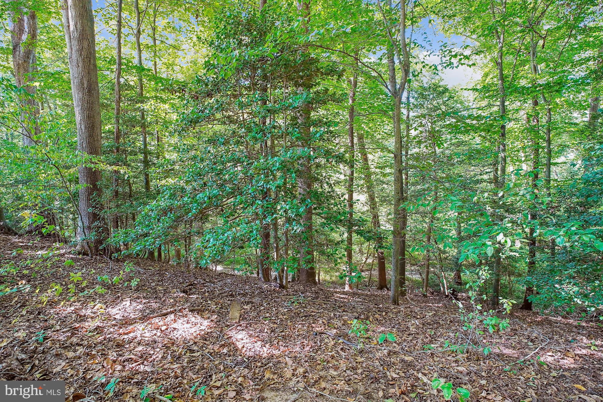 12710 Ridgely Rd