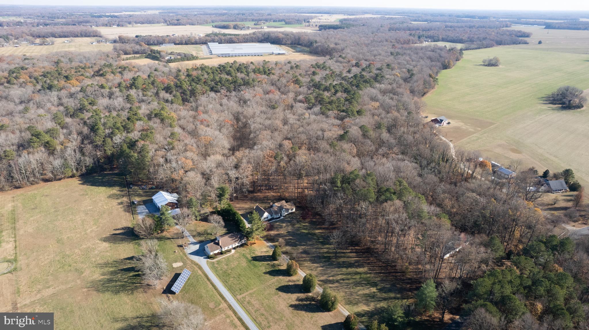 8197 Detour Rd