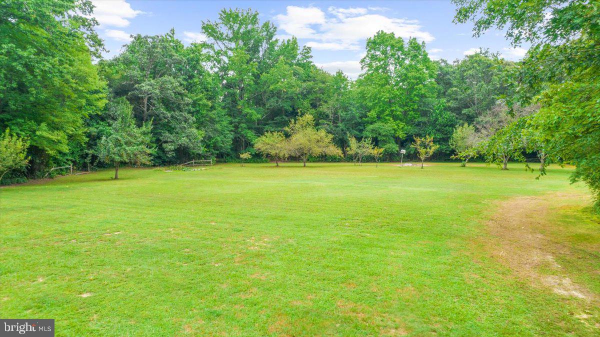 13869 Drapers Mill Rd
