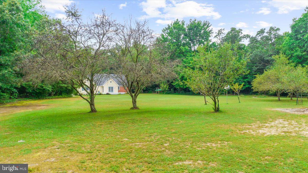 13869 Drapers Mill Rd