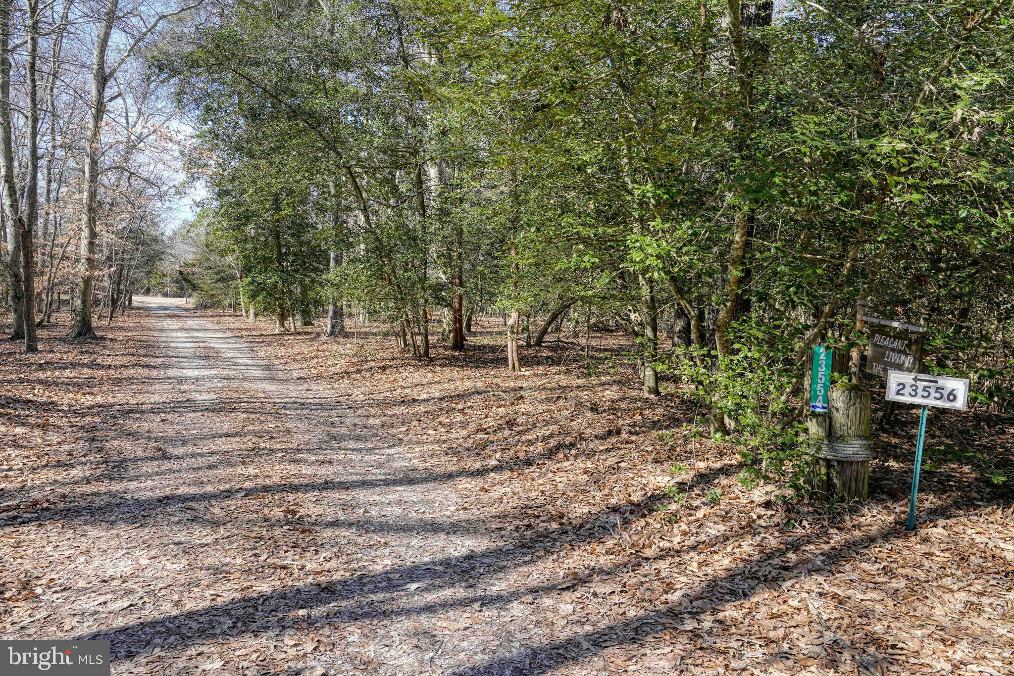 23556 Gilpin Point Rd
